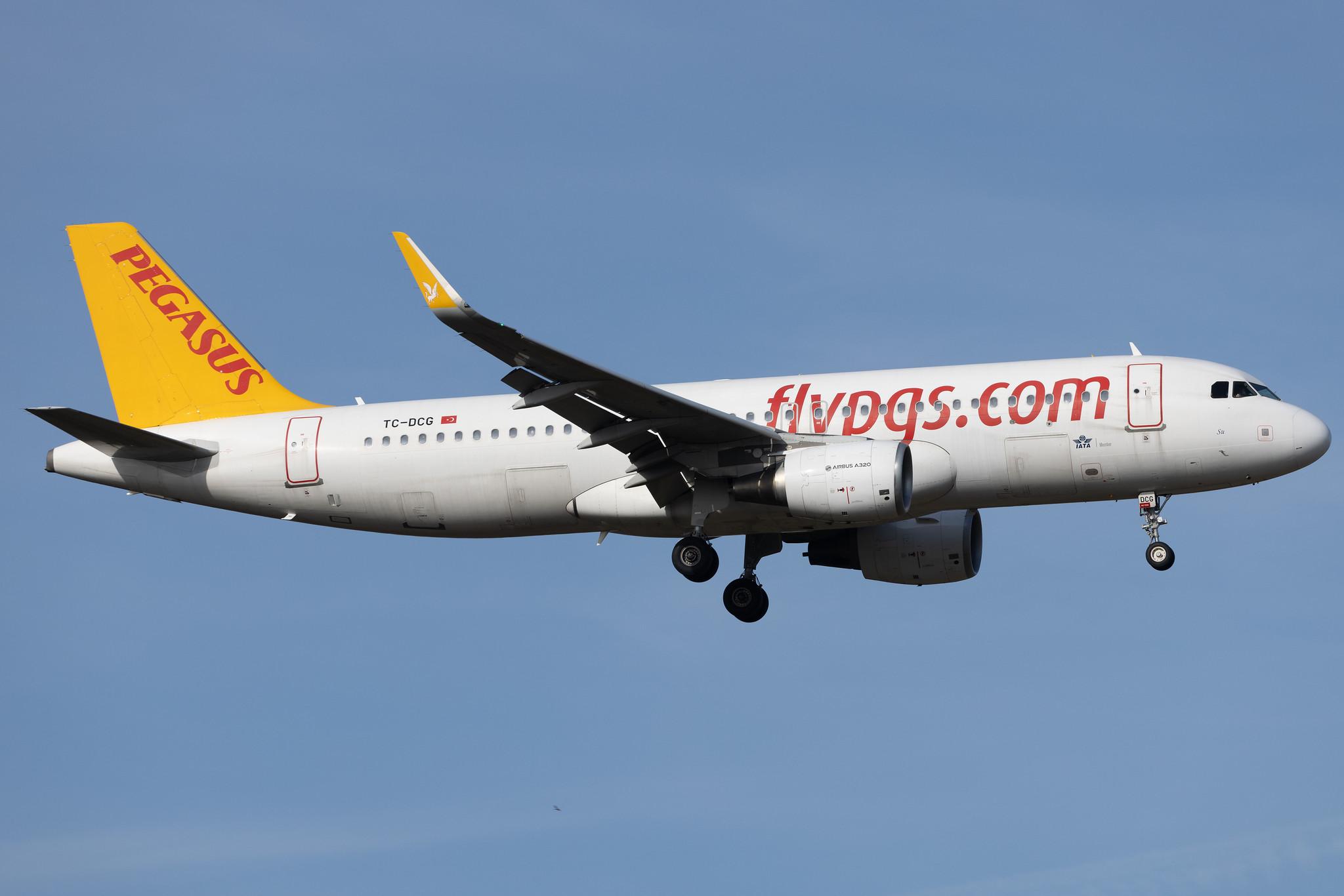 Frankfurt Airport: Pegasus (PC / PGT) | Operator: Pegasus Airlines | Airbus A320-216 A320 | TC-DCG | MSN 06597