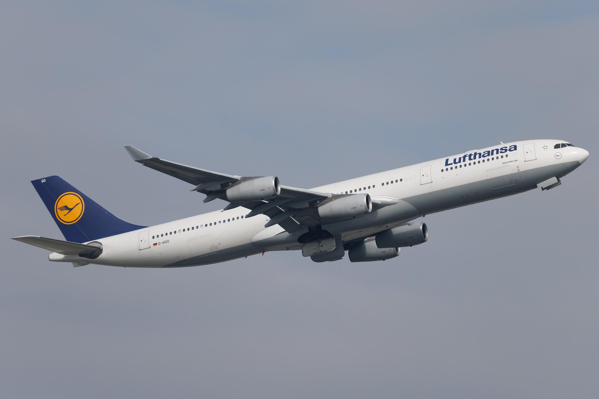 Frankfurt Airport: Lufthansa (LH / DLH) | Airbus A340-313 A343 | D-AIGO | MSN 0233