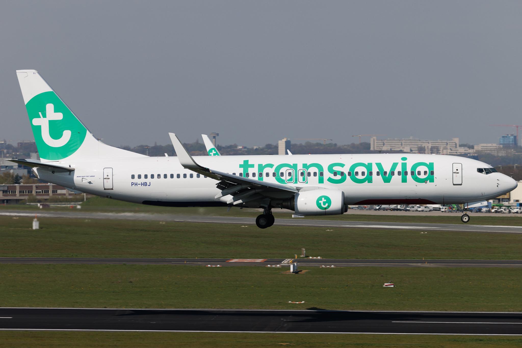 Brussels Airport: Transavia (HV / TRA) | Boeing 737-82R B738 | PH-HBJ | MSN 40696