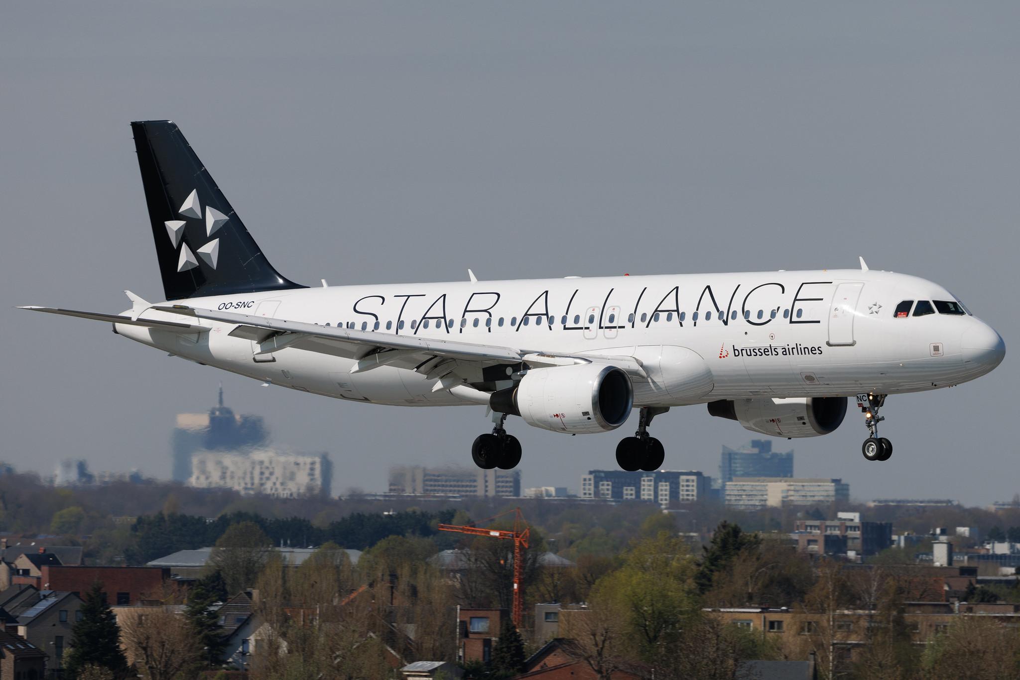 Brussels Airport: Brussels Airlines (SN / BEL) | Livery: Star Alliance Livery | Airbus A320-214 A320 | OO-SNC | MSN 1797