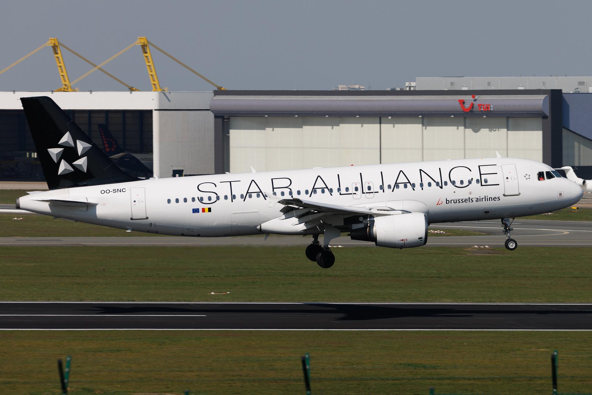 Brussels Airport: Brussels Airlines (SN / BEL) | Livery: Star Alliance Livery | Airbus A320-214 A320 | OO-SNC | MSN 1797