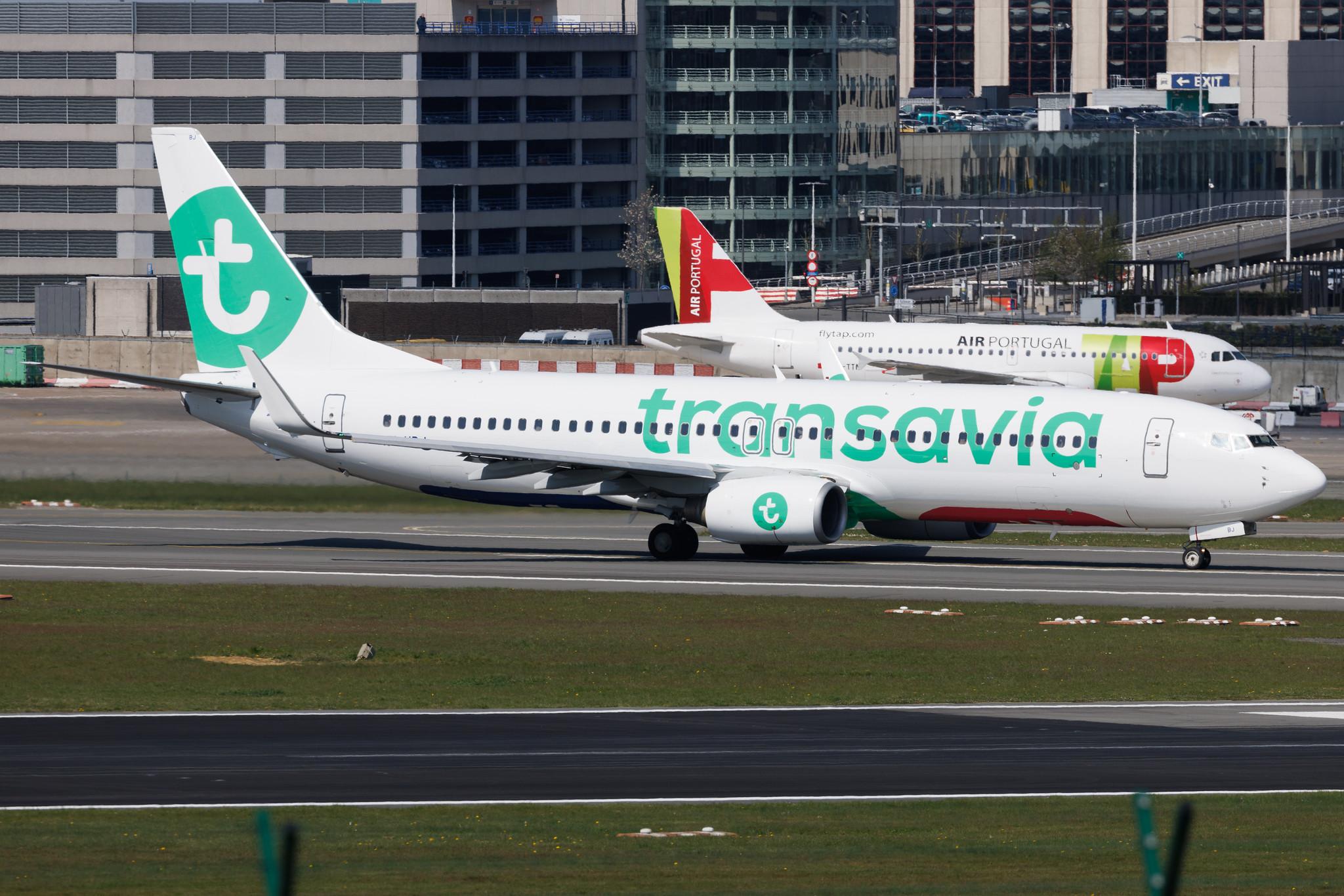 Brussels Airport: Transavia (HV / TRA) | Boeing 737-82R B738 | PH-HBJ | MSN 40696