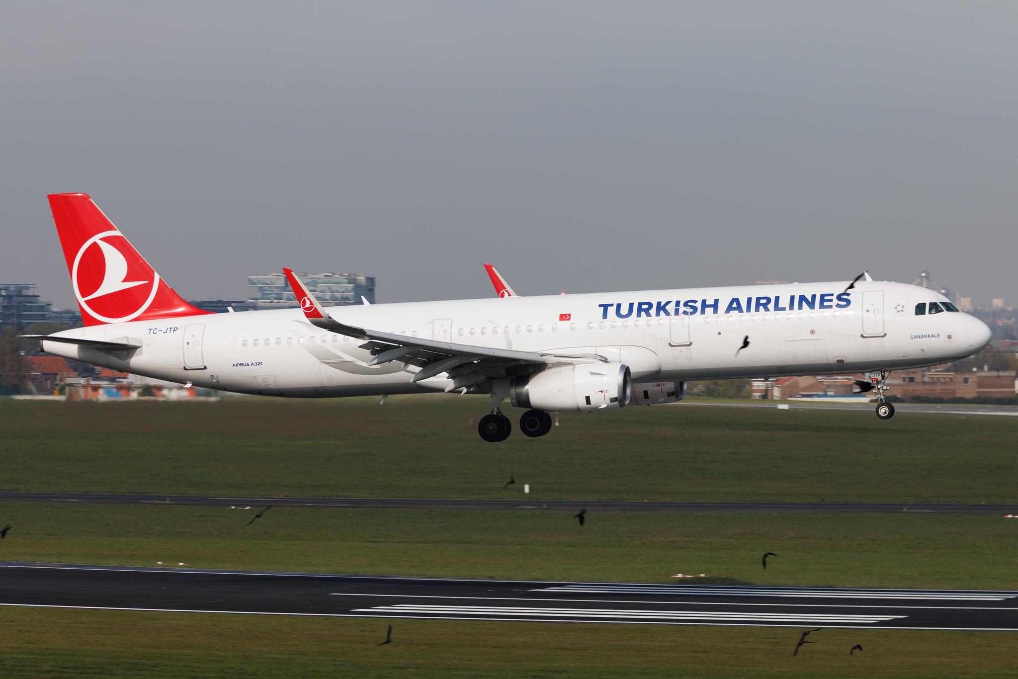 Brussels Airport: Turkish Airlines (TK / THY) | Airbus A321-231 A321 | TC-JTP | MSN 7516
