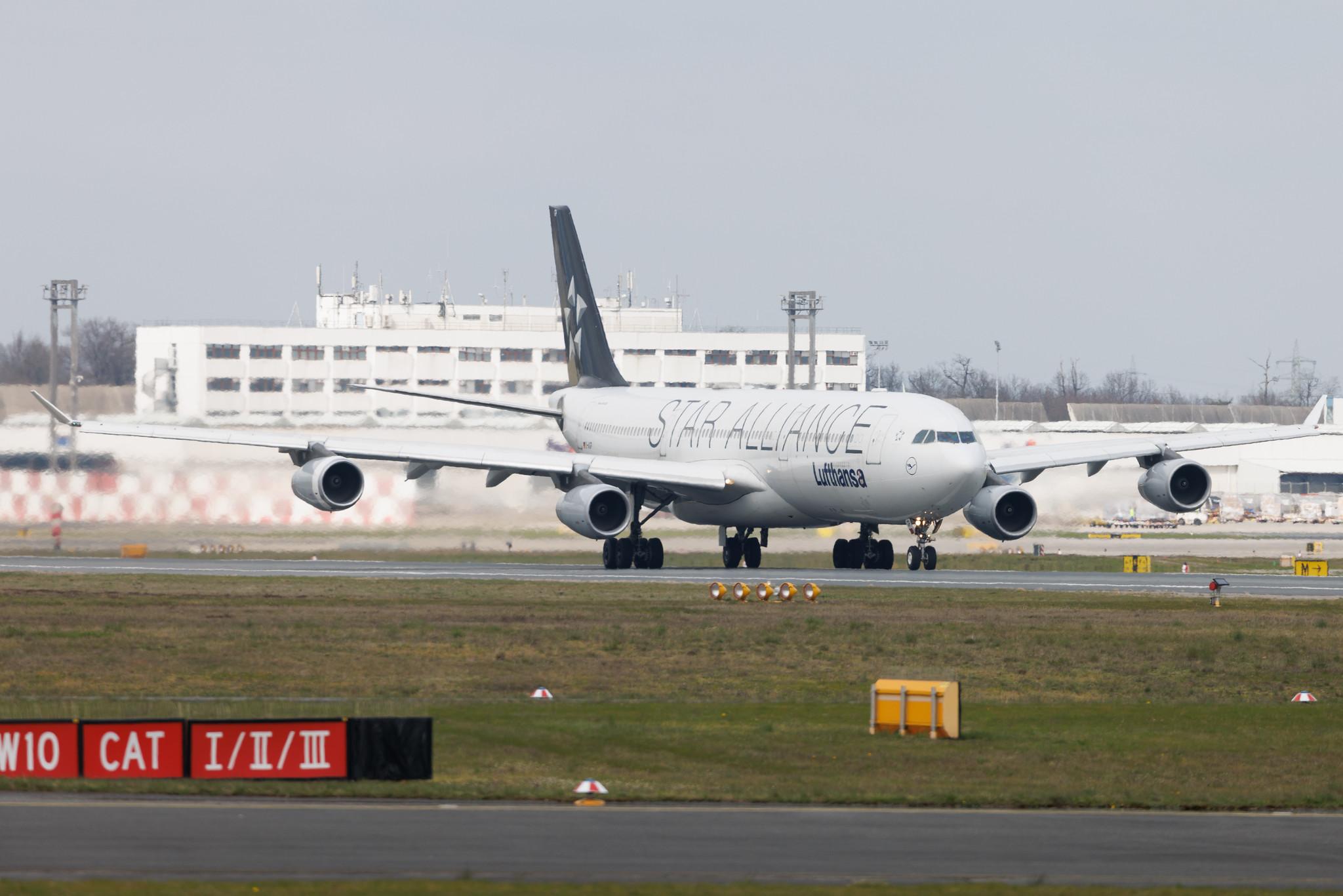 Frankfurt Airport: Lufthansa (LH / DLH) | Livery: Star Alliance Livery | Airbus A340-313 A343 | D-AIGP | MSN 0252