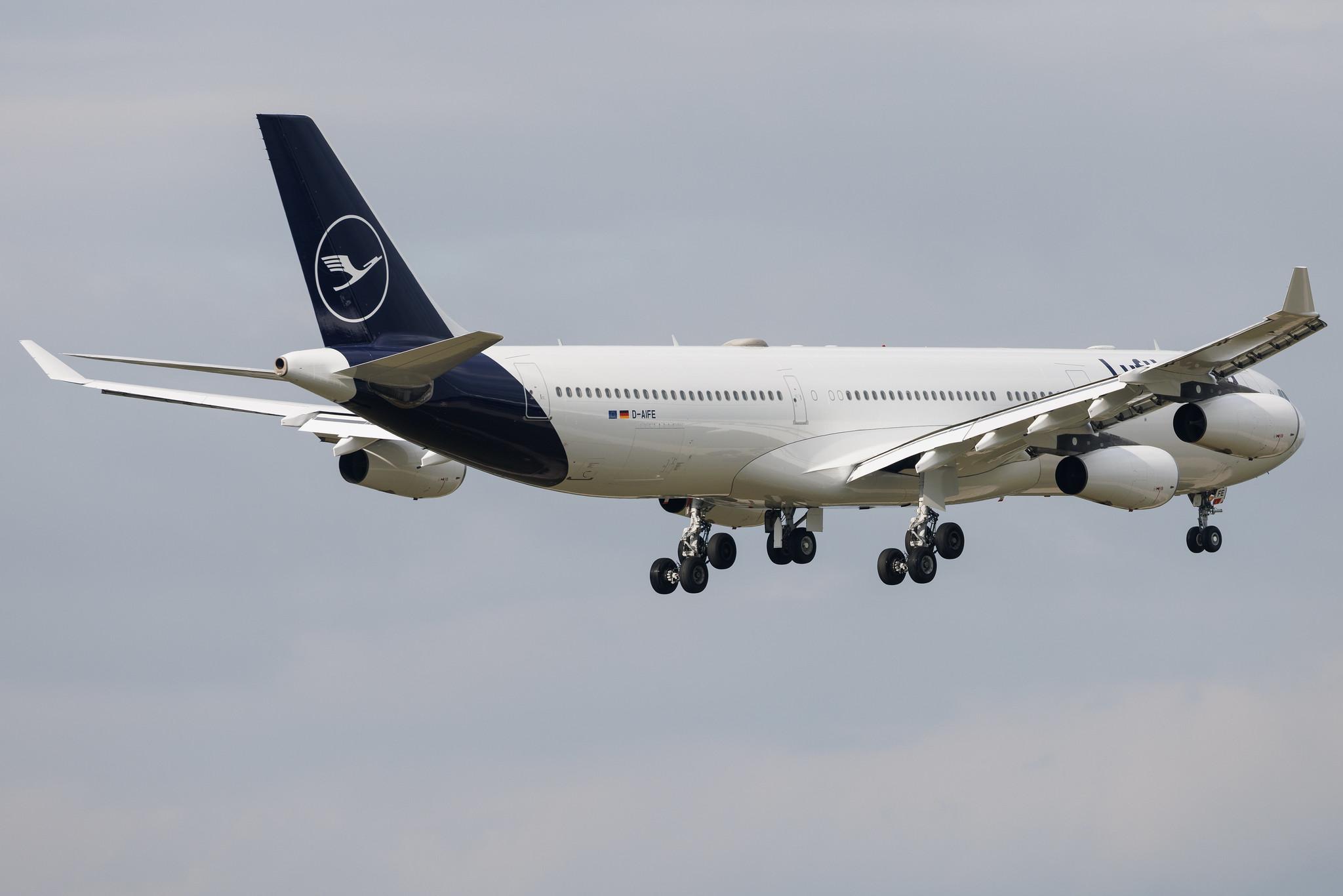 Frankfurt Airport: Lufthansa (LH / DLH) | Airbus A340-313 A343 | D-AIFE | MSN 0434