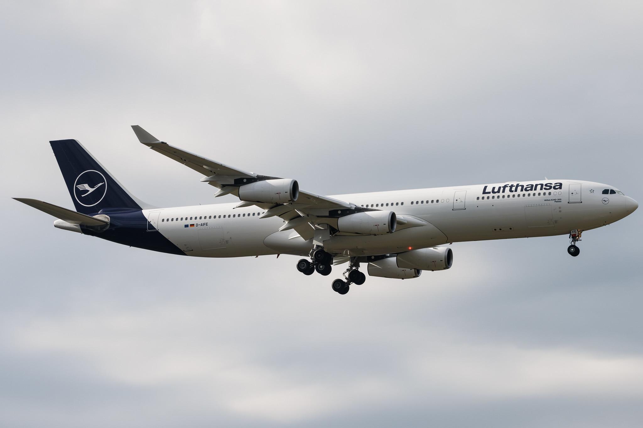 Frankfurt Airport: Lufthansa (LH / DLH) | Airbus A340-313 A343 | D-AIFE | MSN 0434