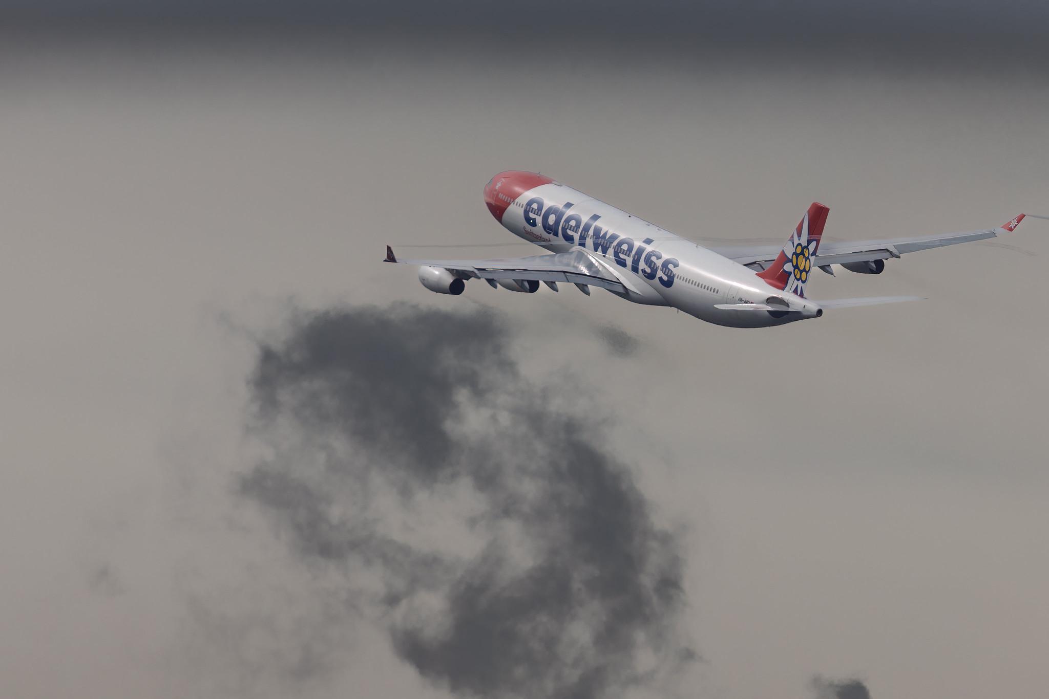Flughafen Zürich: Edelweiss Air (WK / EDW) | Airbus A340-313 A343 | HB-JMD | MSN 556