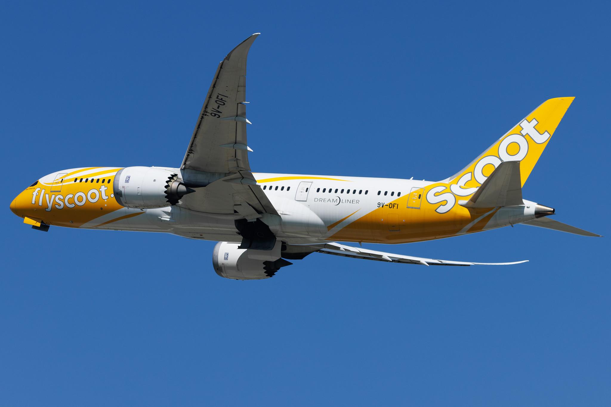 Flughafen Berlin Brandenburg: Scoot (TR / TGW) | Boeing 787-8 Dreamliner B788 | 9V-OFI | MSN 37125