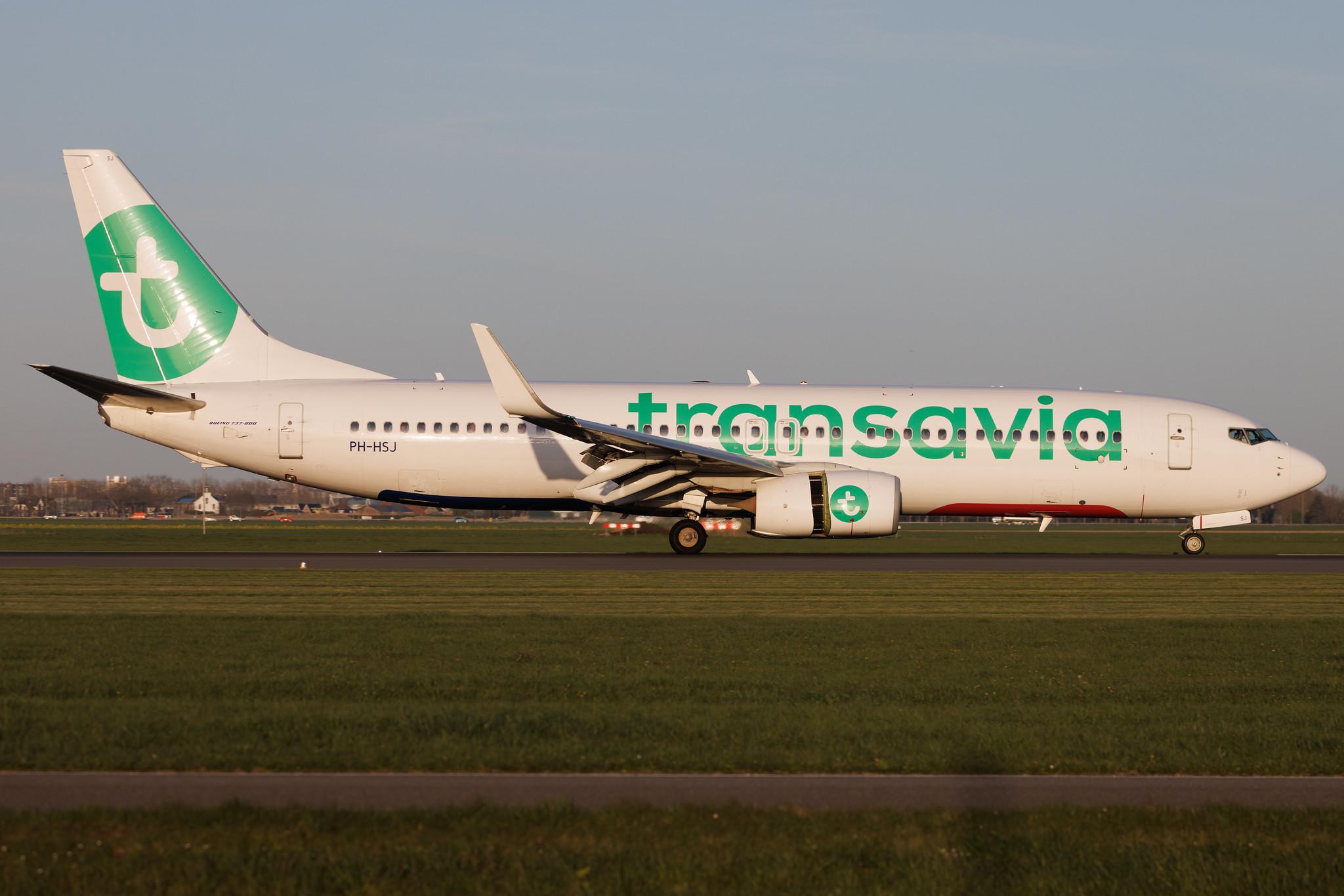 Amsterdam Schiphol: Transavia (HV / TRA) | Boeing 737-8K2 B738 | PH-HSJ | MSN 42150