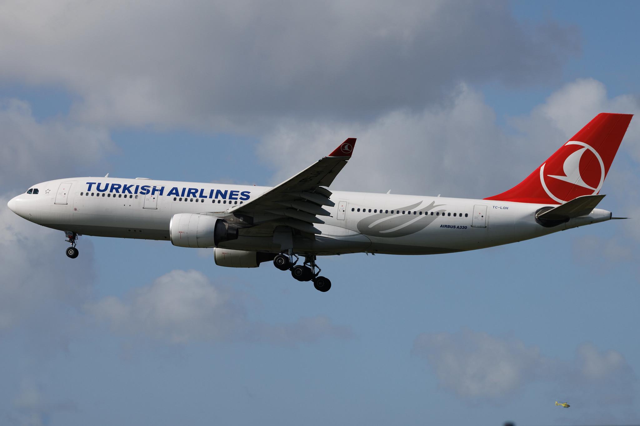 Amsterdam Schiphol: Turkish Airlines (TK / THY) | Airbus A330-223 A332 | TC-LOH | MSN 1213