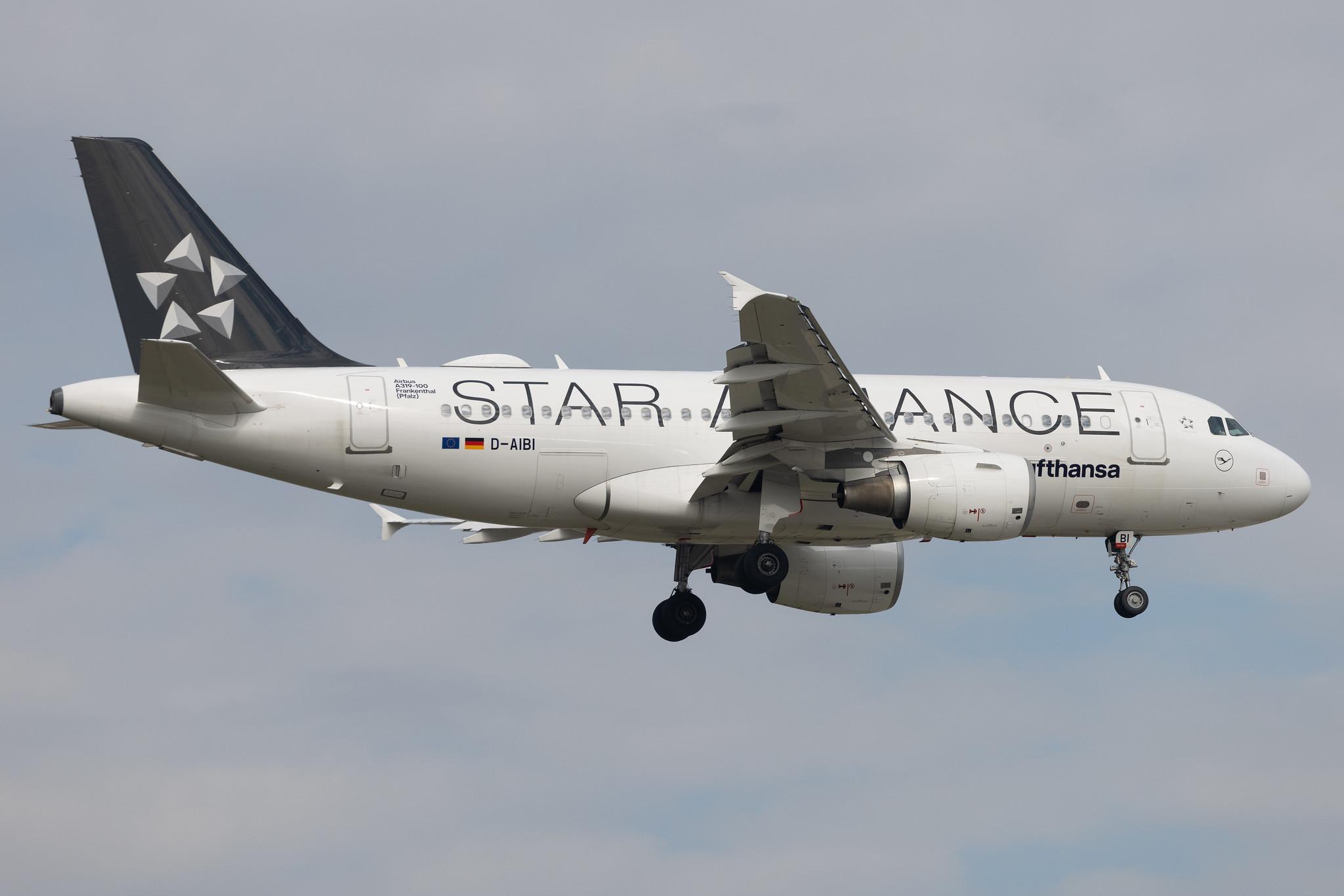 Frankfurt Airport: Lufthansa (LH / DLH) | Livery: Star Alliance Livery | Airbus A319-112 A319 | D-AIBI | MSN 5284
