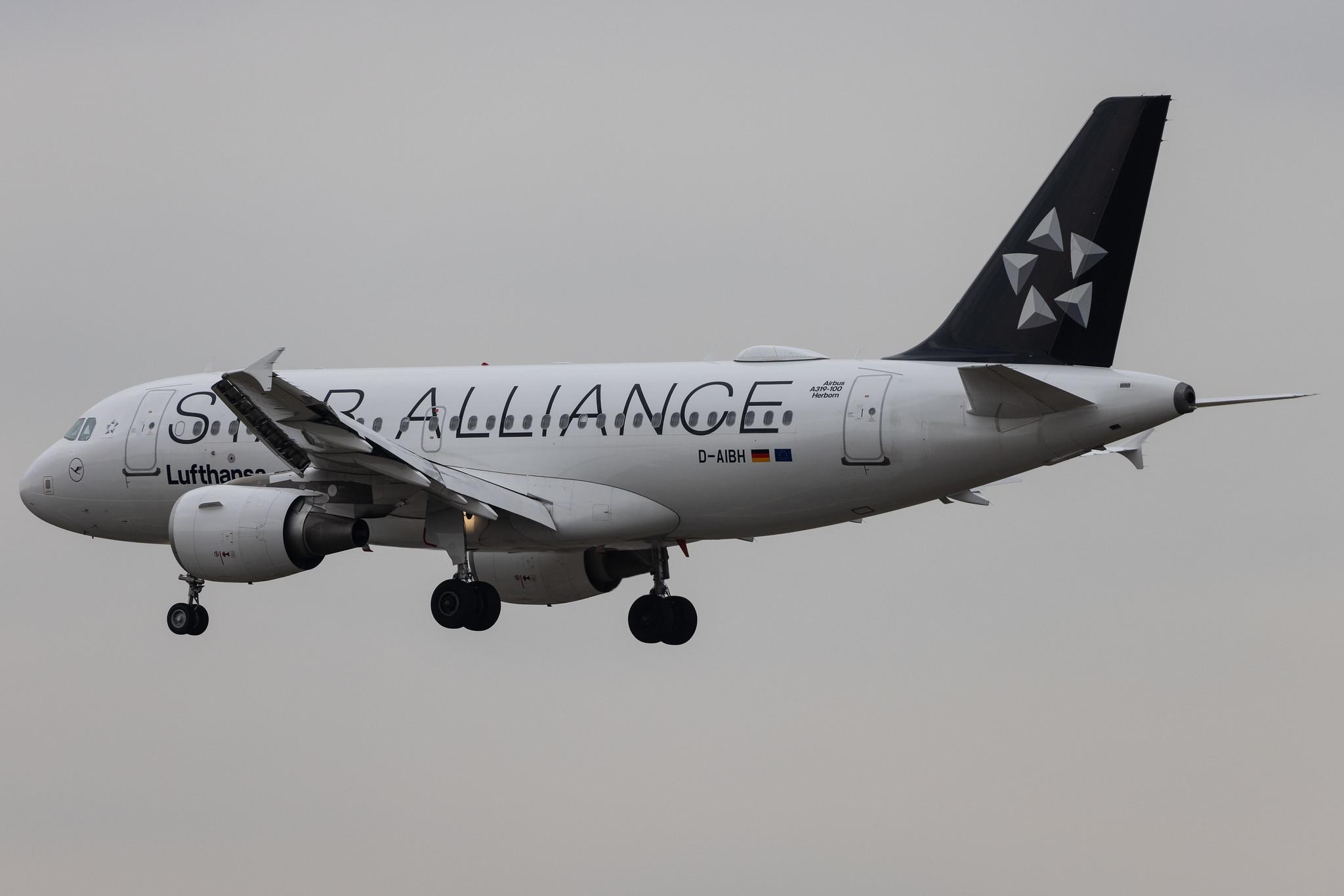 Frankfurt Airport: Lufthansa (LH / DLH) | Livery: Star Alliance Livery | Airbus A319-112 A319 | D-AIBH | MSN 5239