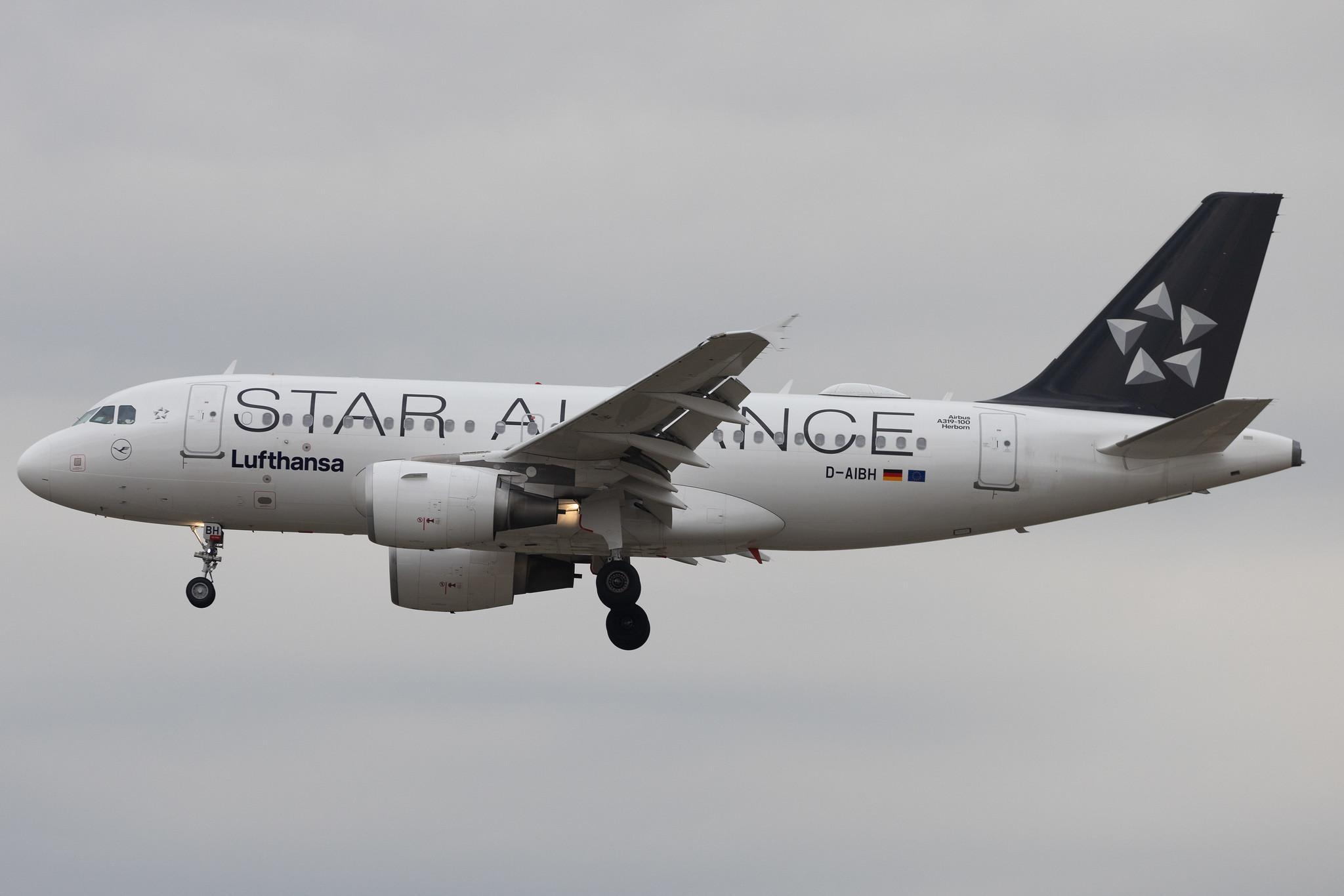 Frankfurt Airport: Lufthansa (LH / DLH) | Livery: Star Alliance Livery | Airbus A319-112 A319 | D-AIBH | MSN 5239