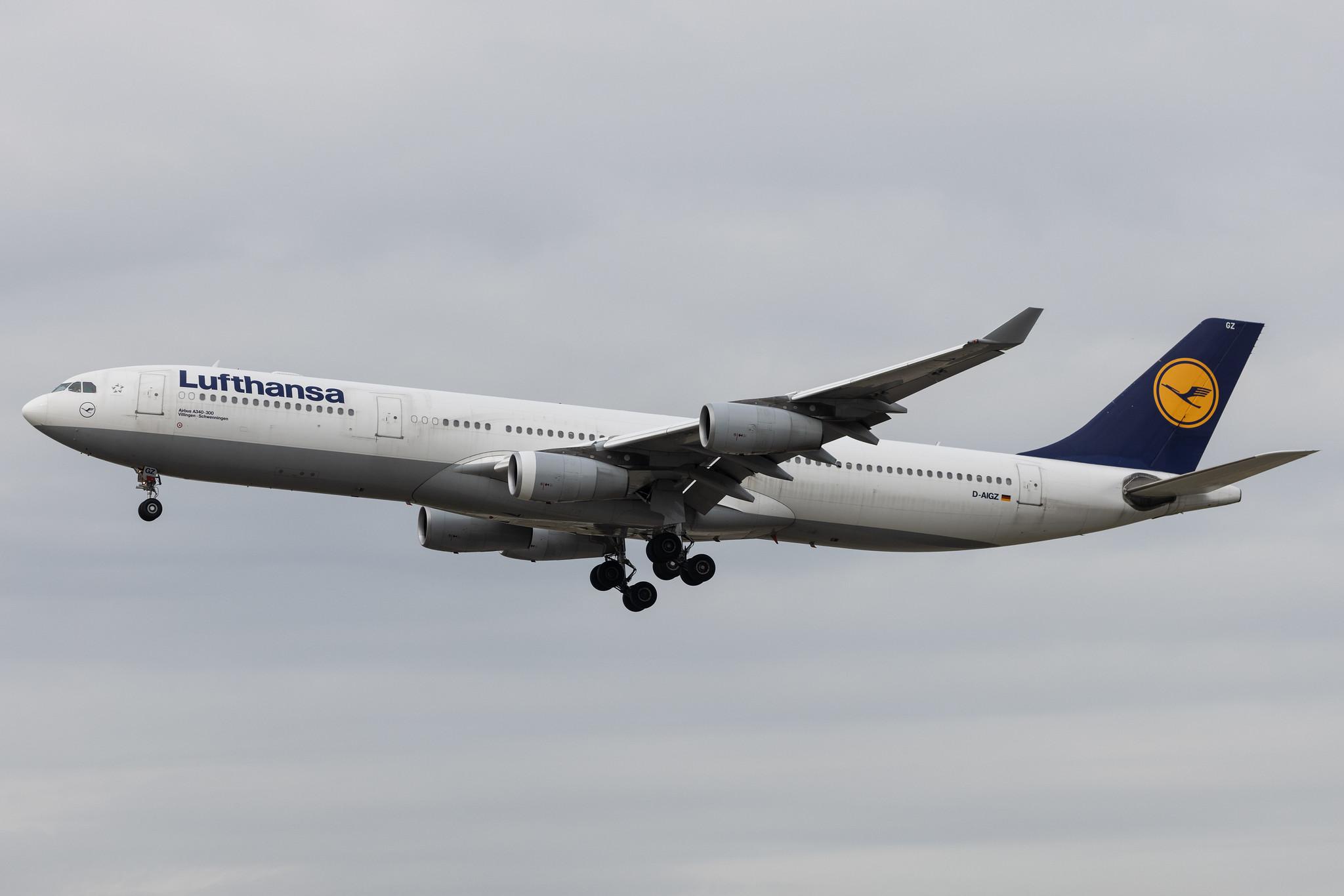 Frankfurt Airport: Lufthansa (LH / DLH) | Airbus A340-313 A343 | D-AIGZ | MSN 0347
