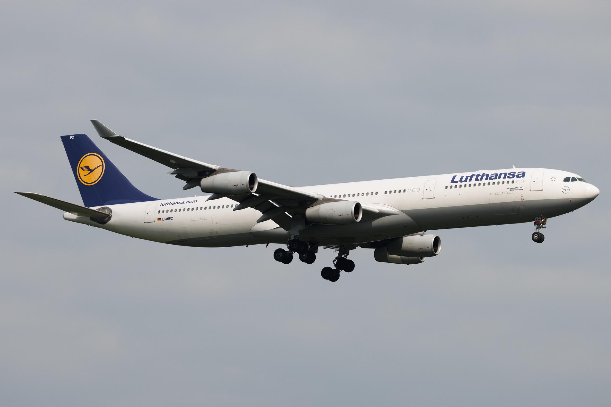 Frankfurt Airport: Lufthansa (LH / DLH) | Airbus A340-313 A343 | D-AIFC | MSN 0379
