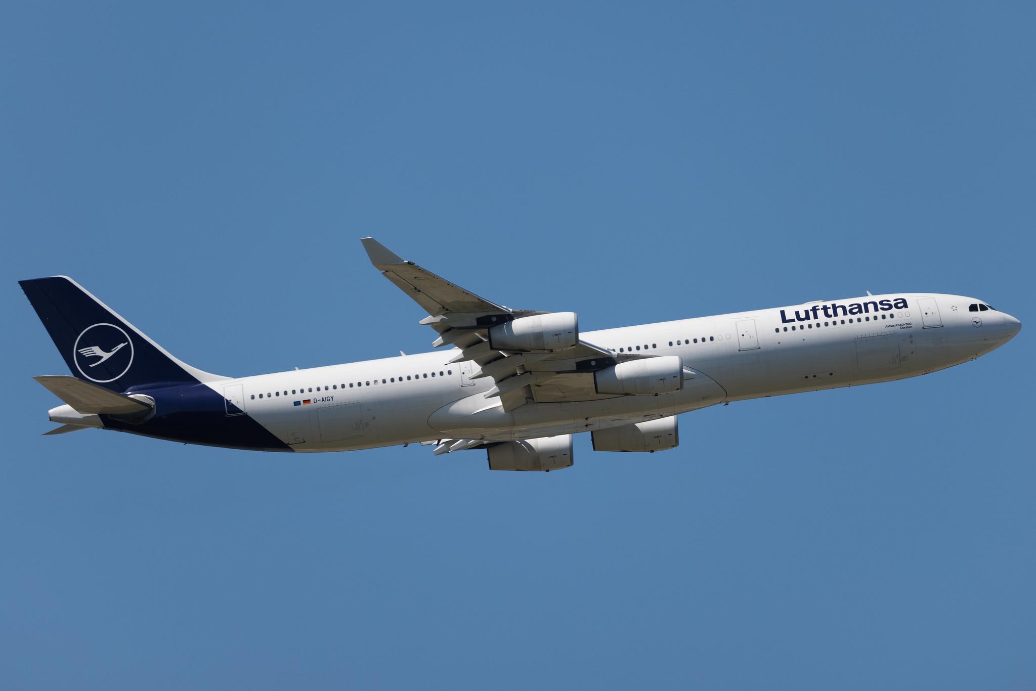 Frankfurt Airport: Lufthansa (LH / DLH) | Airbus A340-313 A343 | D-AIGY | MSN 0335