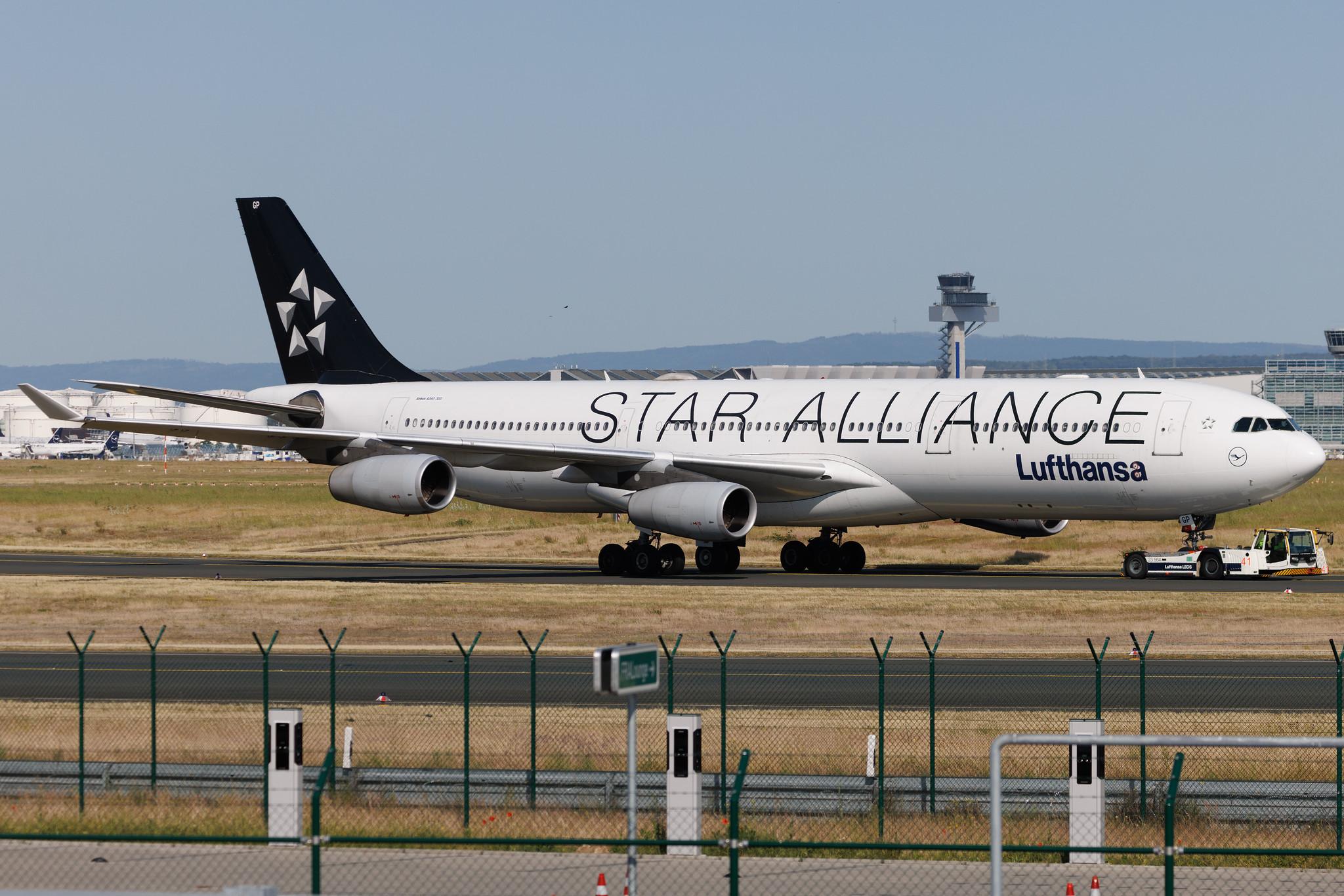 Frankfurt Airport: Lufthansa (LH / DLH) | Livery: Star Alliance Livery | Airbus A340-313 A343 | D-AIGP | MSN 0252