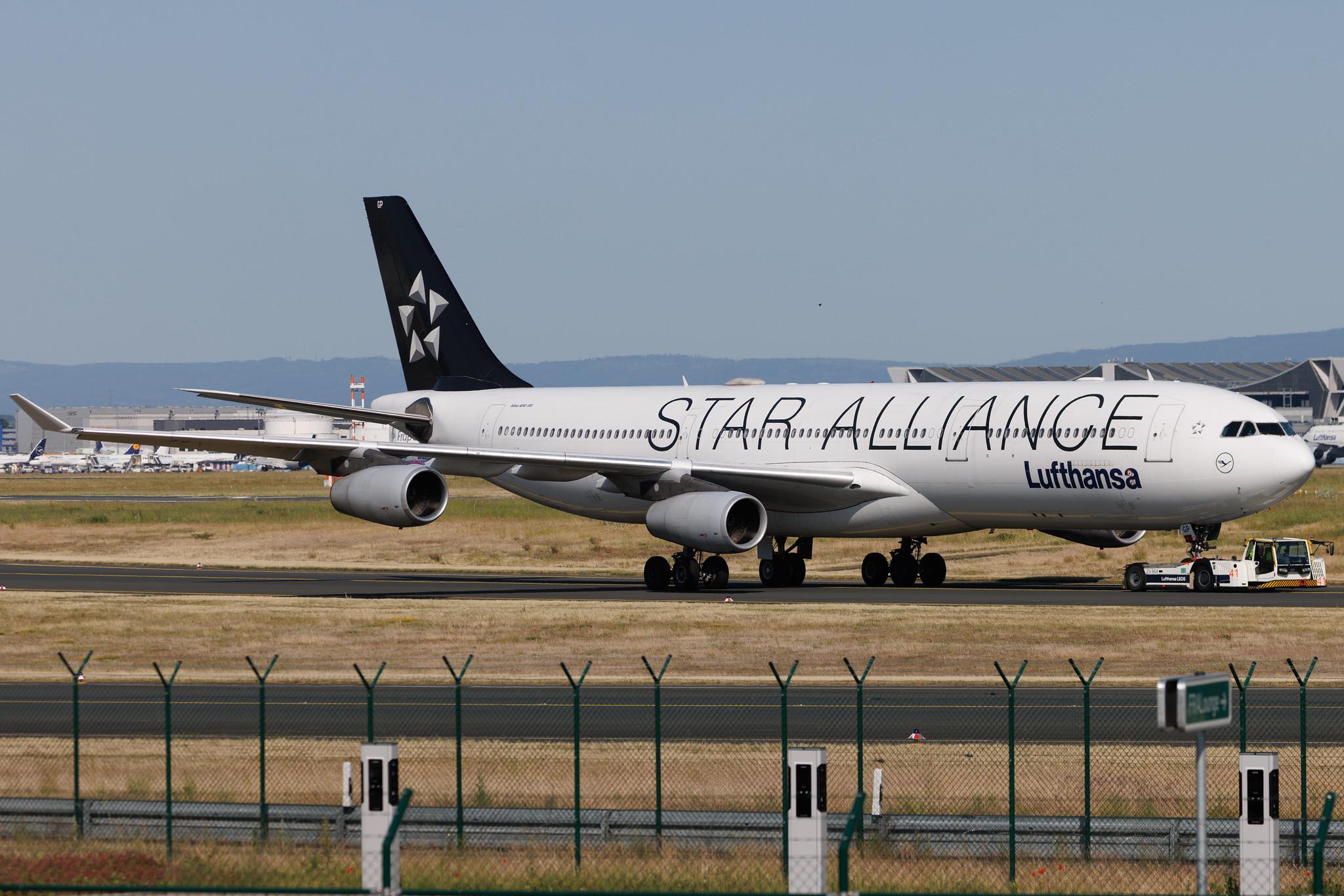 Frankfurt Airport: Lufthansa (LH / DLH) | Livery: Star Alliance Livery | Airbus A340-313 A343 | D-AIGP | MSN 0252