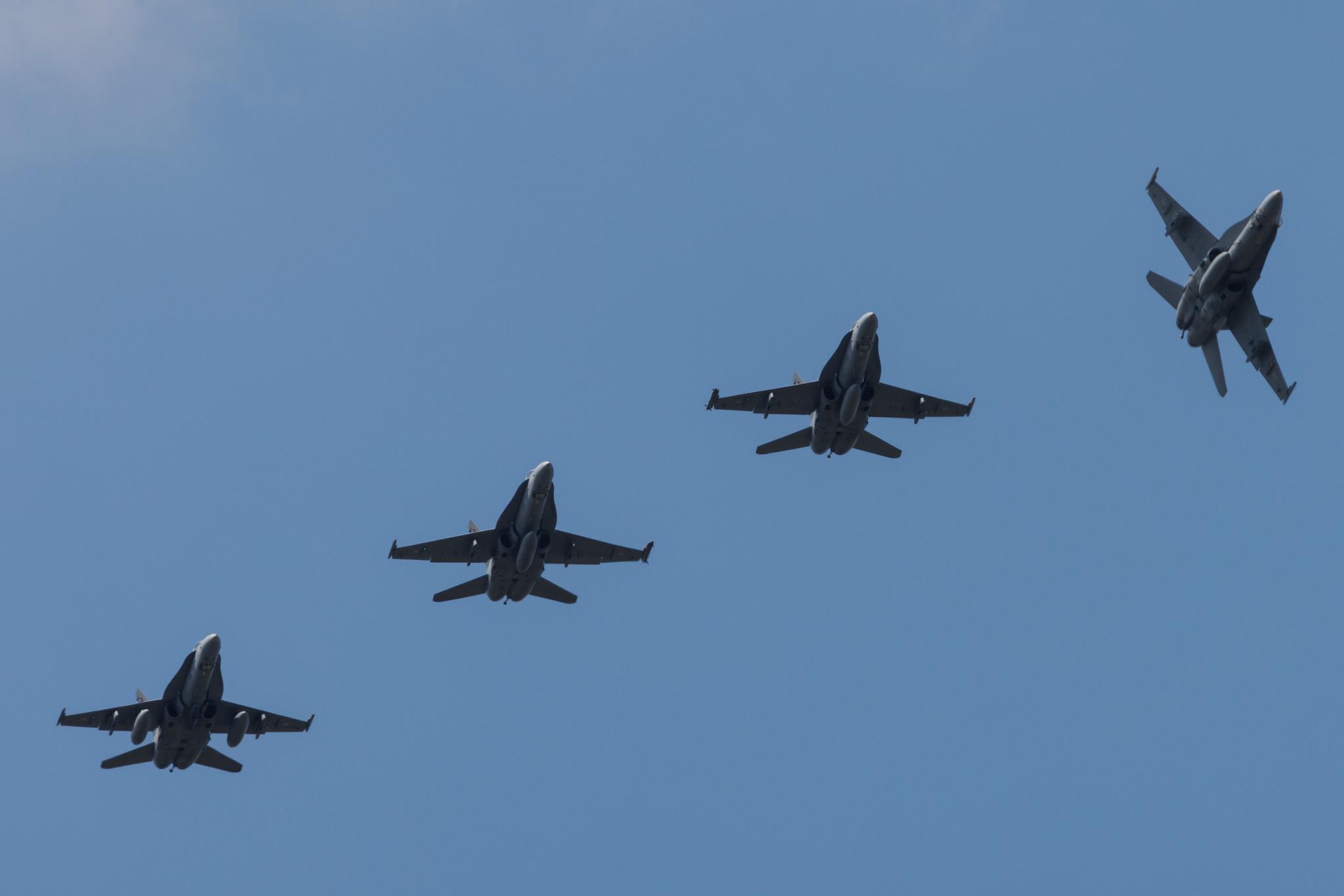 Fliegerhorst Hohn: Finland - Air Force | McDonnell Douglas F/A-18 Hornet F18 | HN-433 | MSN 1439/FNC033