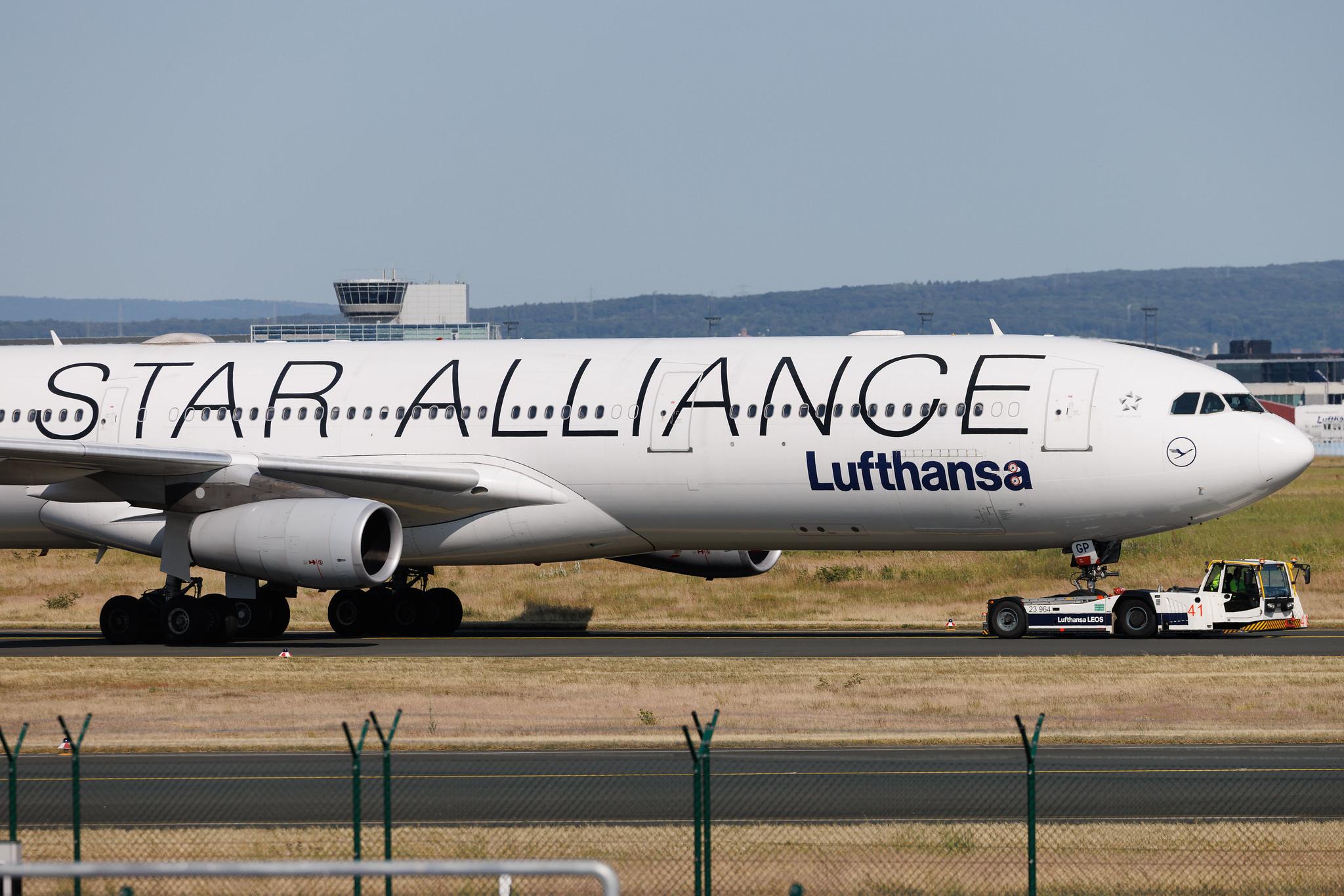 Frankfurt Airport: Lufthansa (LH / DLH) | Livery: Star Alliance Livery | Airbus A340-313 A343 | D-AIGP | MSN 0252
