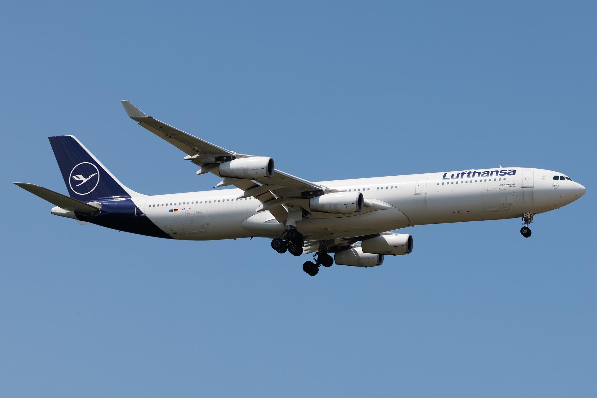 Frankfurt Airport: Lufthansa (LH / DLH) | Airbus A340-313 A343 | D-AIGM | MSN 0158