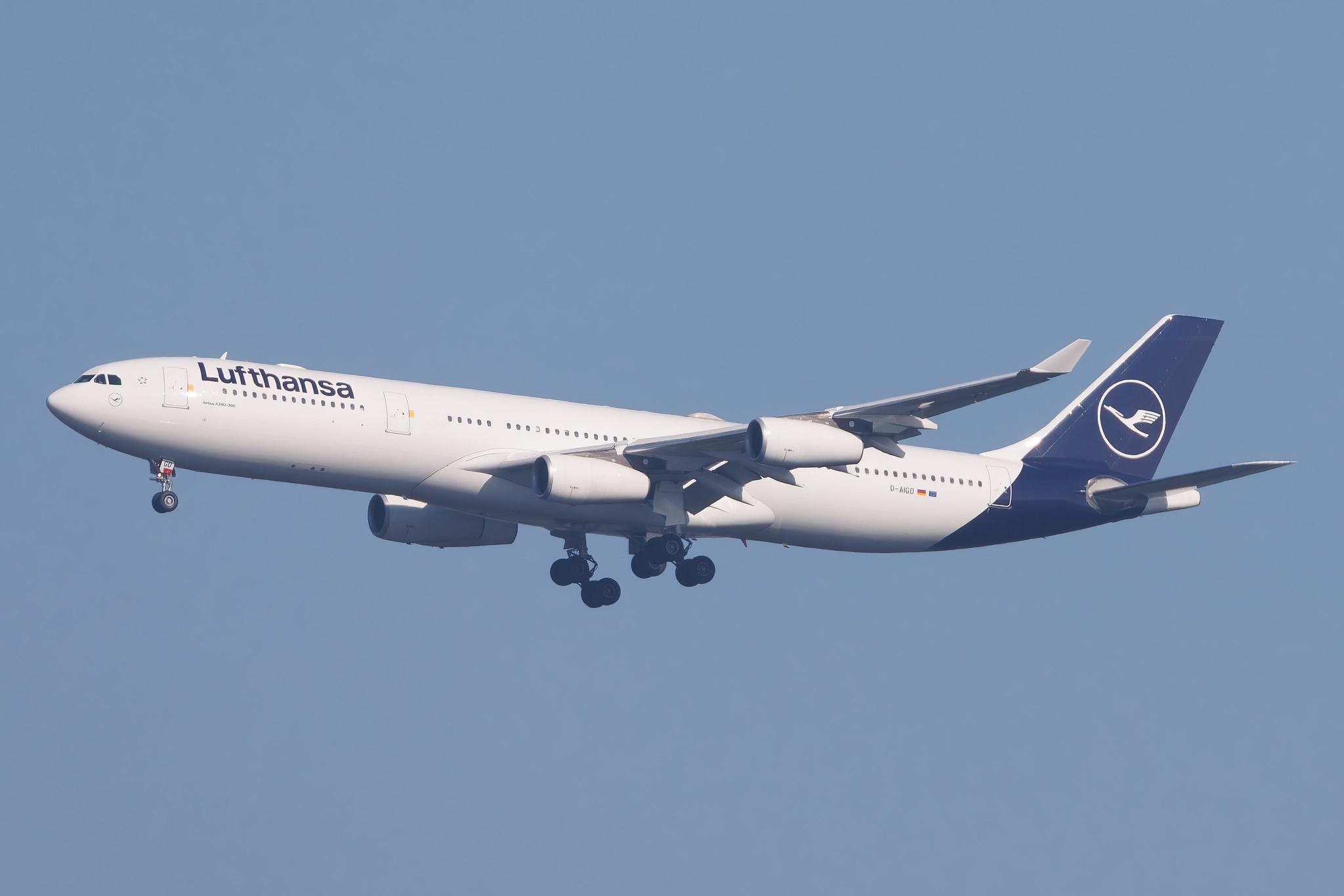 Frankfurt Airport: Lufthansa (LH / DLH) | Airbus A340-313 A343 | D-AIGO | MSN 0233