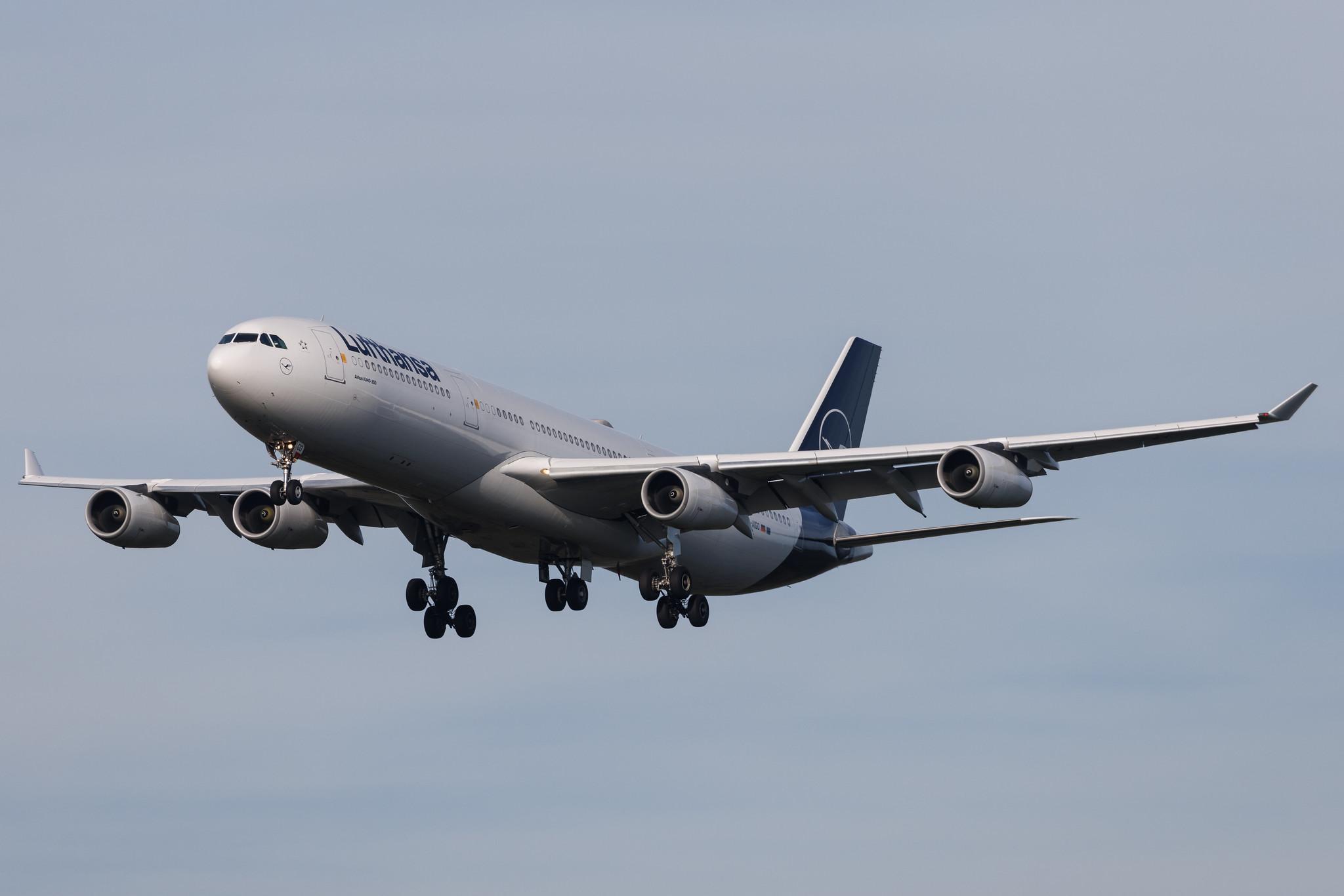Frankfurt Airport: Lufthansa (LH / DLH) | Airbus A340-313 A343 | D-AIGO | MSN 0233