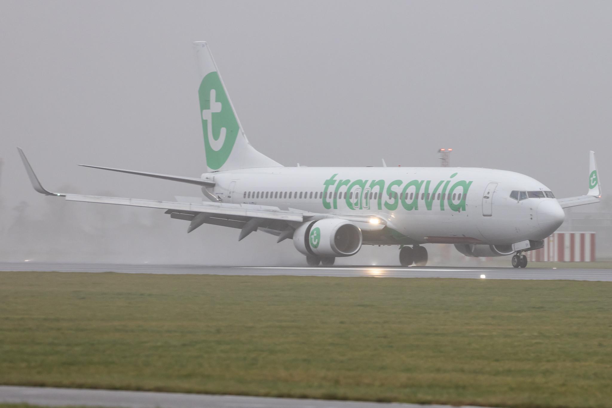 Amsterdam Schiphol: Transavia (HV / TRA) |  Boeing 737-8K2 B738 | PH-HZV | MSN 30650