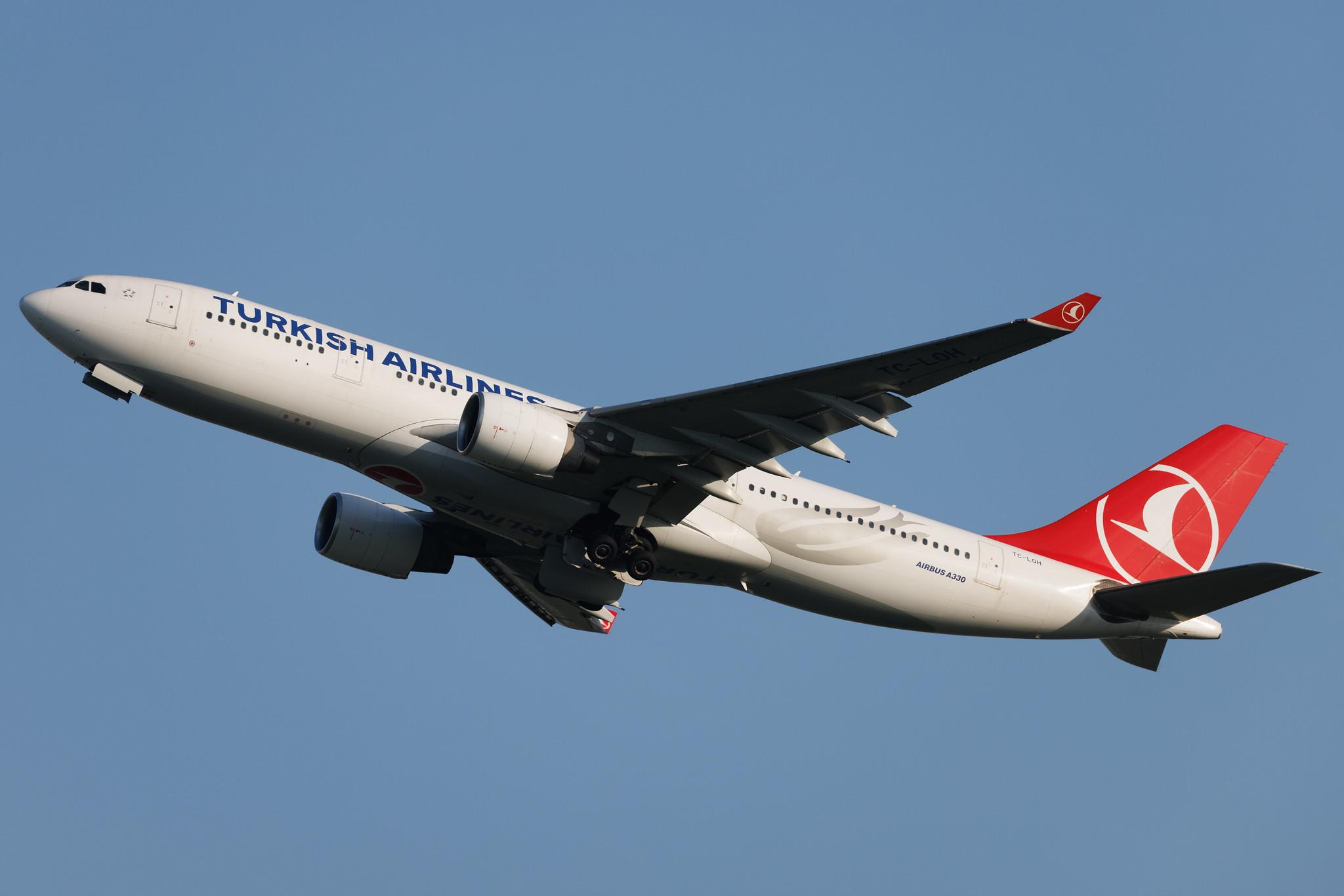 Hamburg Airport: Turkish Airlines (TK / THY) | Airbus A330-223 A332 | TC-LOH | MSN 1213