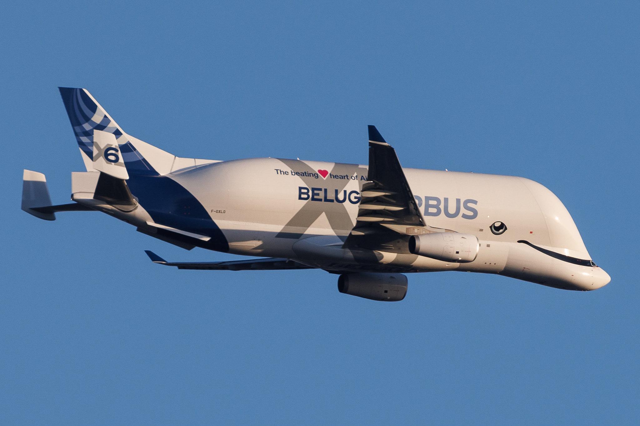 Hamburg Airport: Airbus Transport International (4Y / BGA) | Airbus A330-743L Beluga XL A337 | F-GXLO | MSN 2041