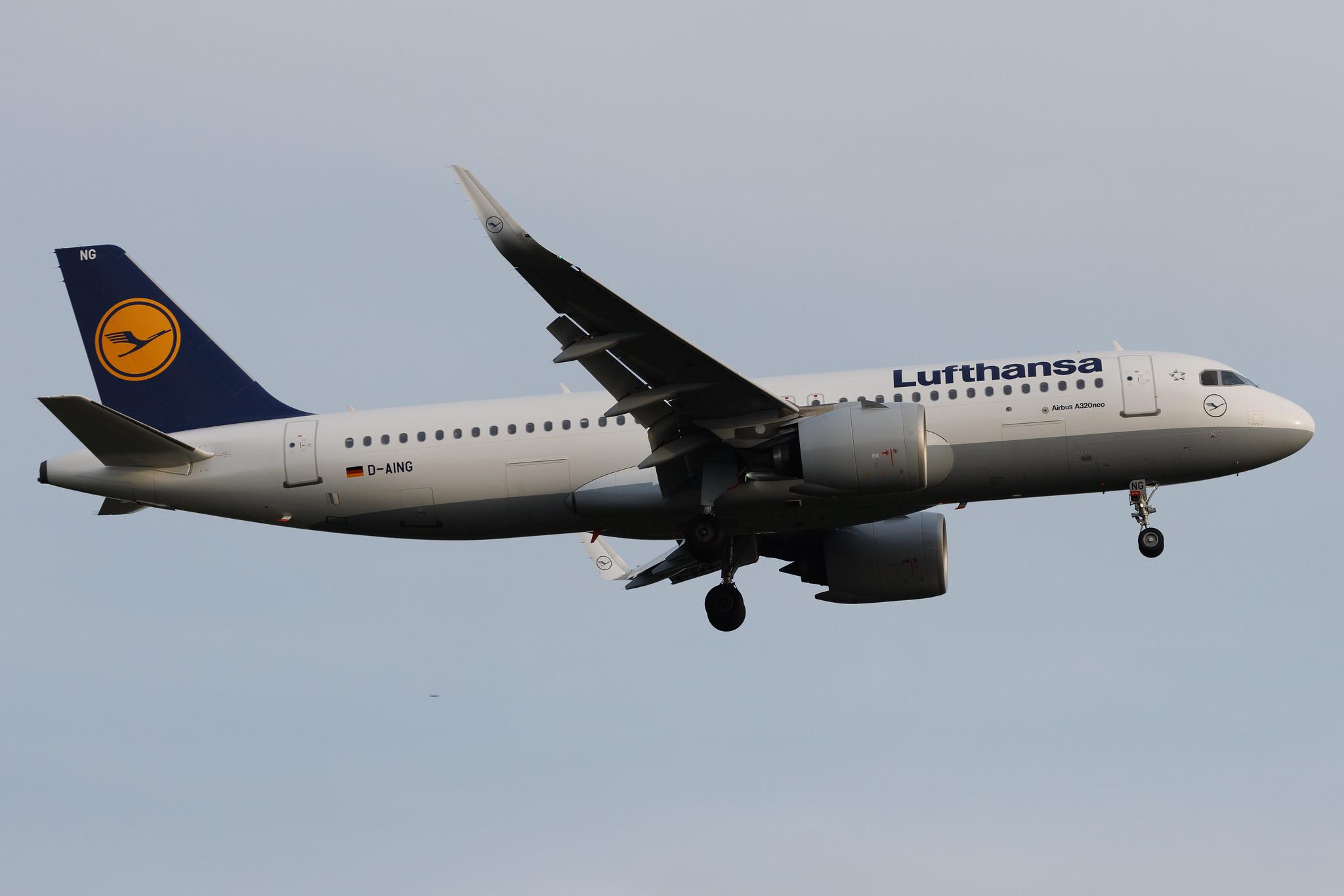 Frankfurt Airport: Lufthansa (LH / DLH) | Airbus A320-271N A20N | D-AING | MSN 7588
