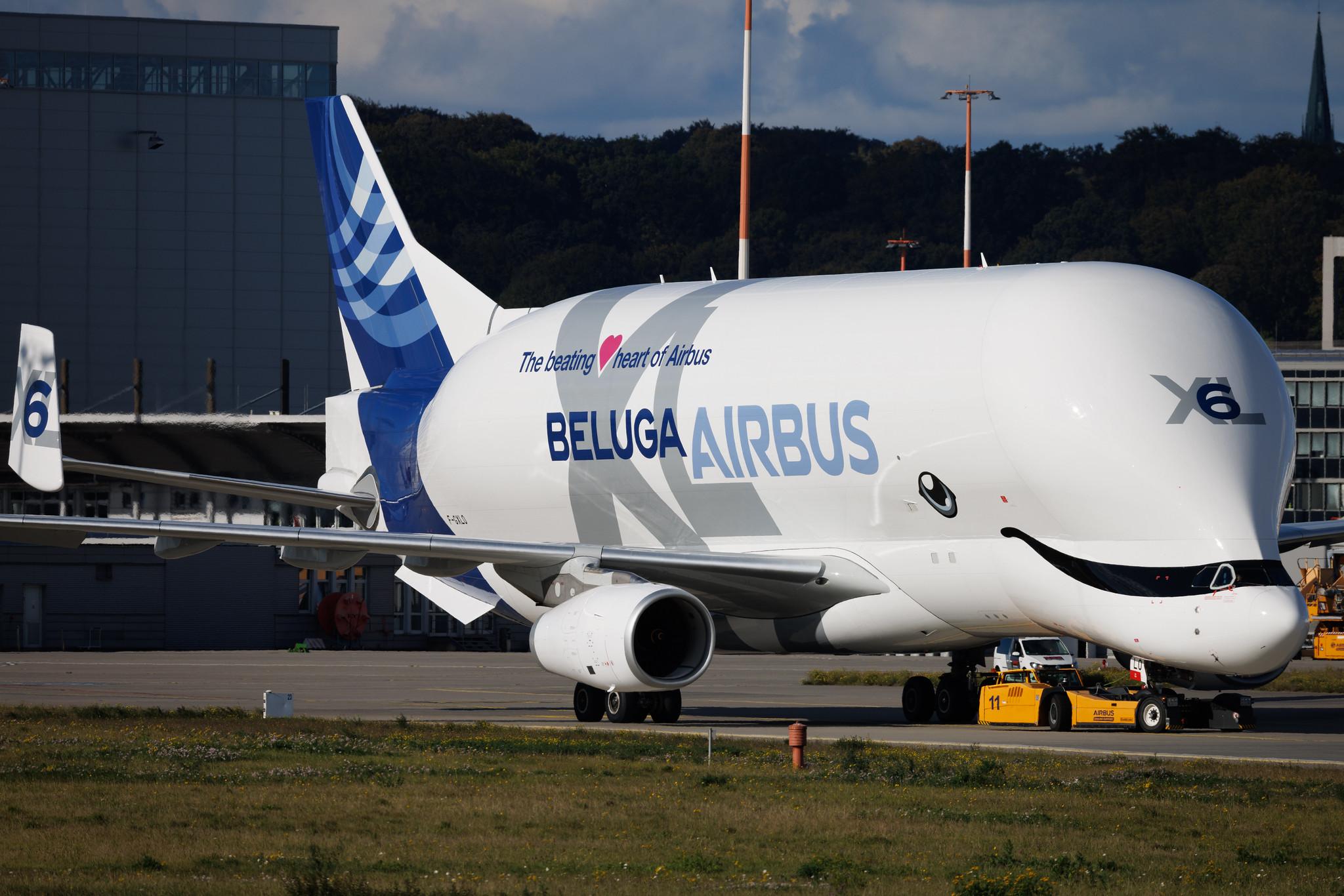 Hamburg Finkenwerder: Airbus Transport International (4Y / BGA) | Airbus A330-743L Beluga XL A337 | F-GXLO | MSN 2041