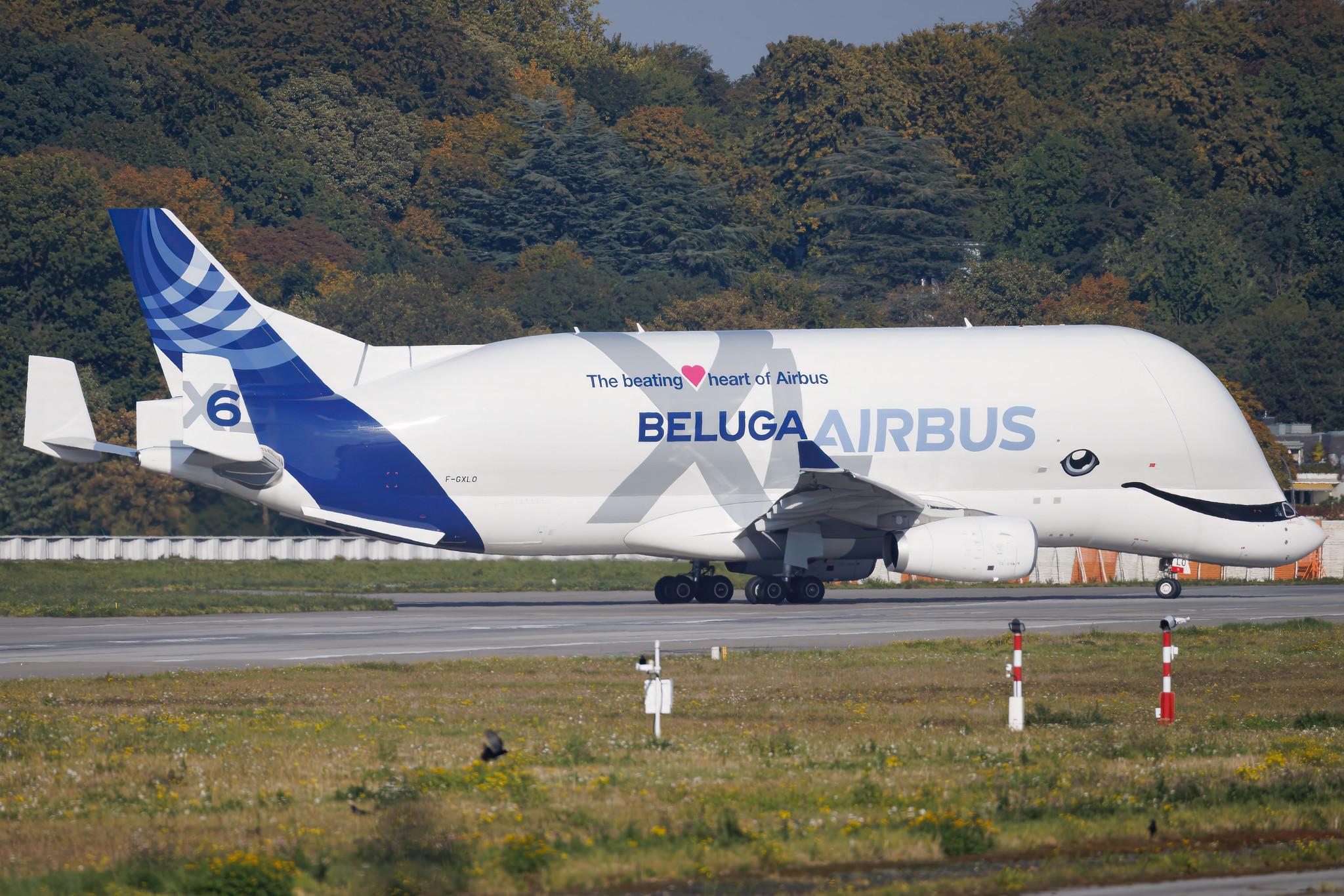 Hamburg Finkenwerder: Airbus Transport International (4Y / BGA) | Airbus A330-743L Beluga XL A337 | F-GXLO | MSN 2041