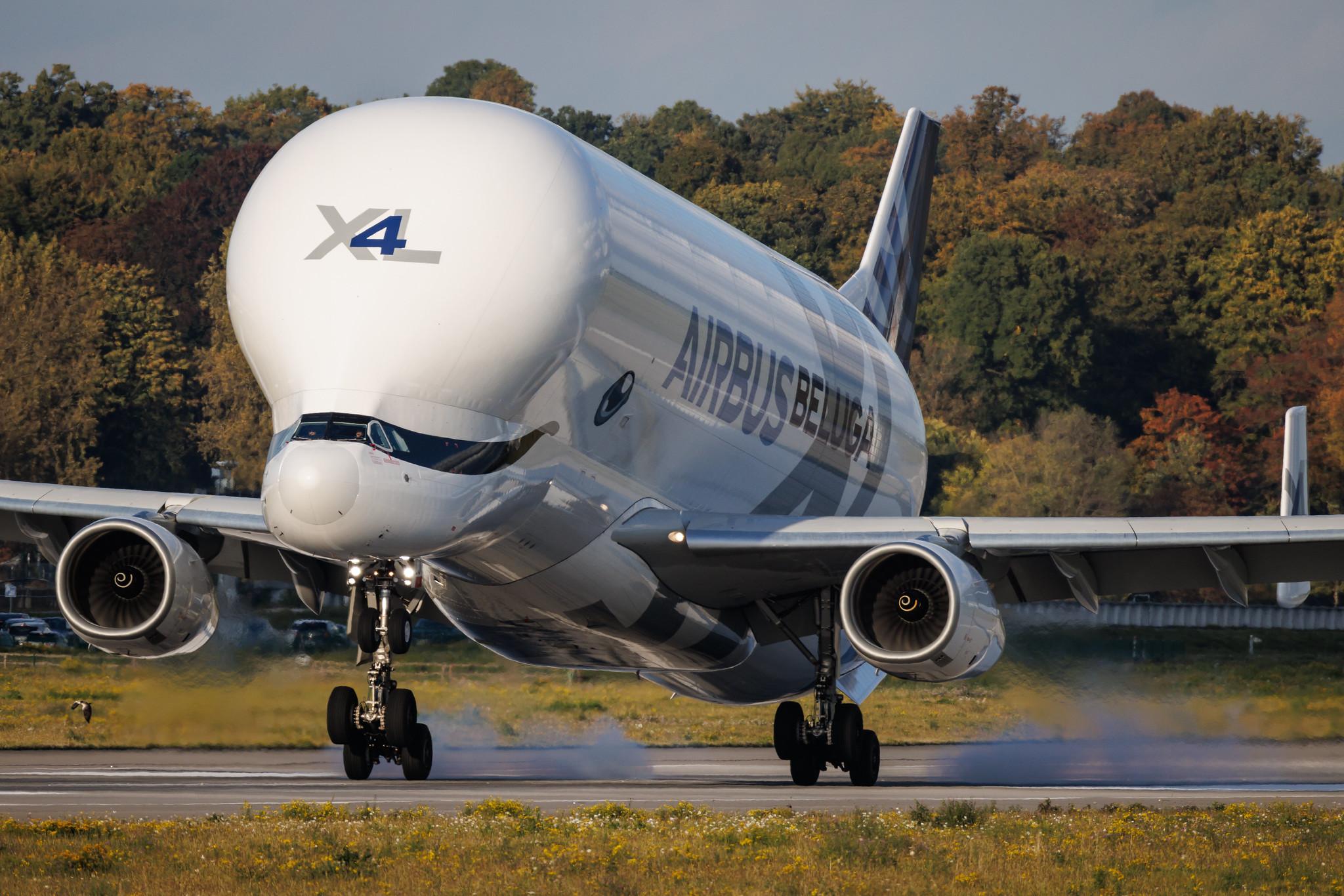 Hamburg Finkenwerder: Airbus Transport International (4Y / BGA) | Airbus A330-743L Beluga XL A337 | F-GXLJ | MSN 1985