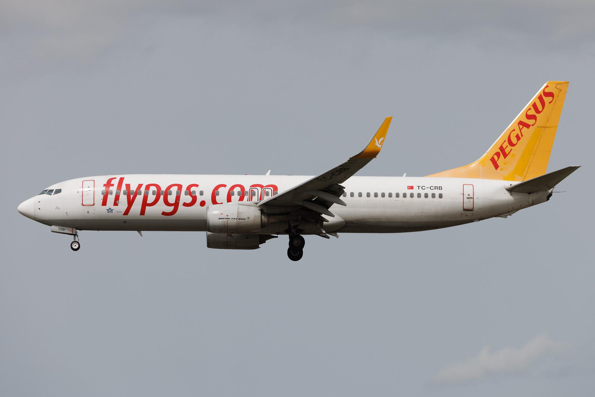 Frankfurt Airport: Pegasus (PC / PGT) | Boeing 737-8AL B738 | TC-CRB | MSN 62687