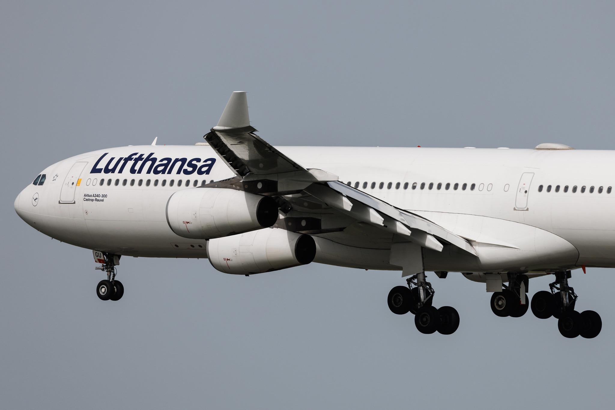 Frankfurt Airport: Lufthansa (LH / DLH) | Airbus A340-313 A343 | D-AIGU | MSN 0321