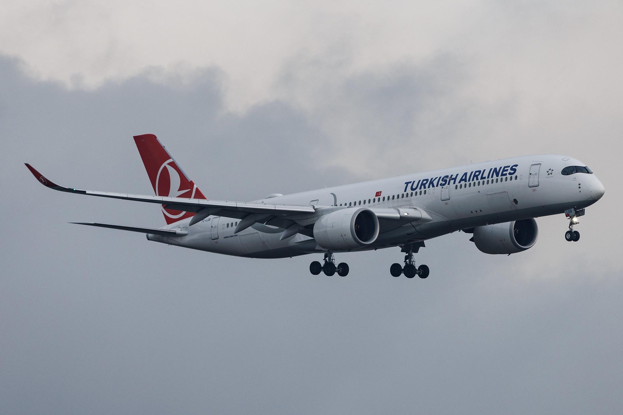 Vienna International Airport: Turkish Airlines (TK / THY) | Airbus A350-941 A359 | TC-LGB | MSN 421