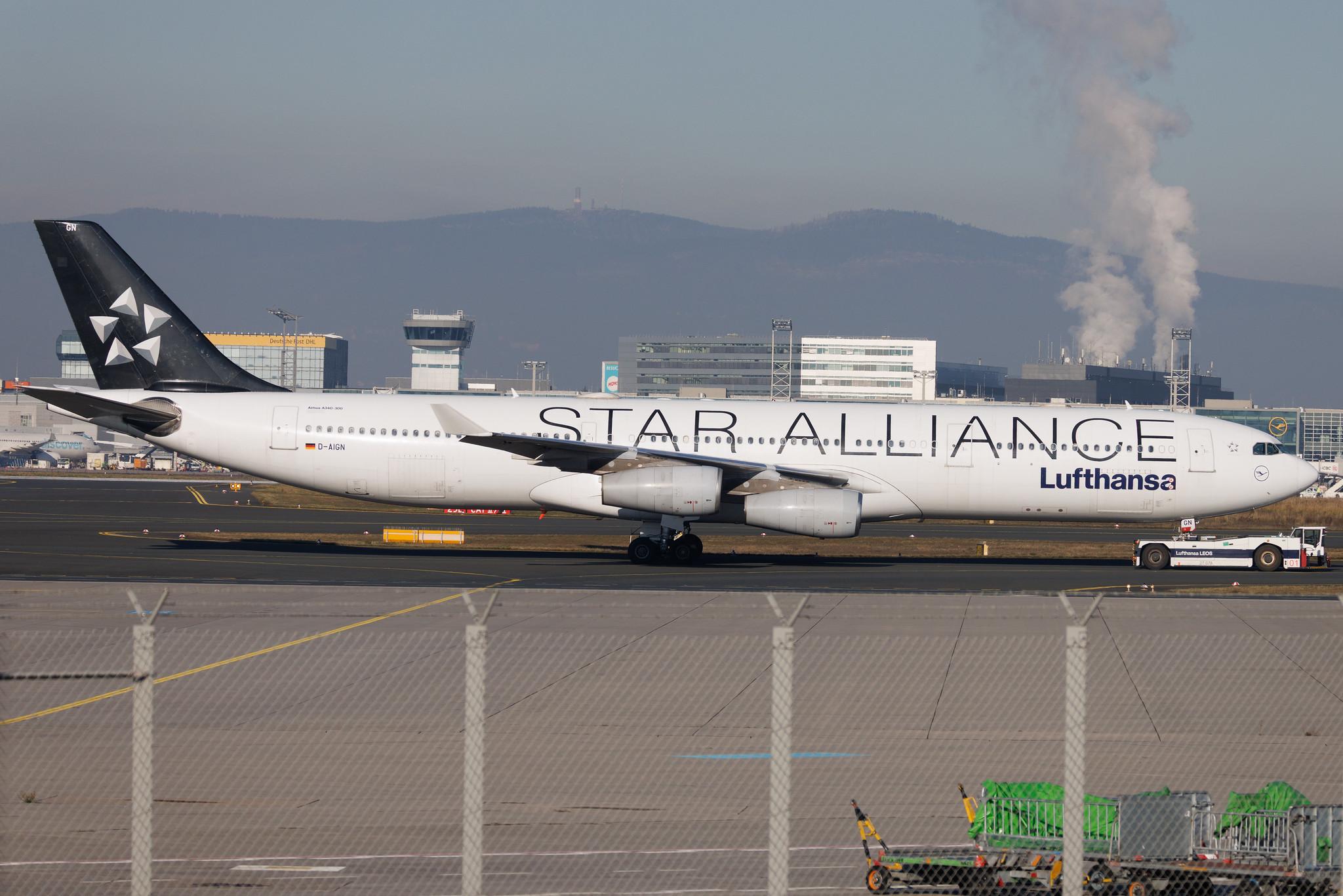 Frankfurt Airport: Lufthansa (LH / DLH) | Livery: Star Alliance Livery | Airbus A340-313 A343 | D-AIGN | MSN 0213