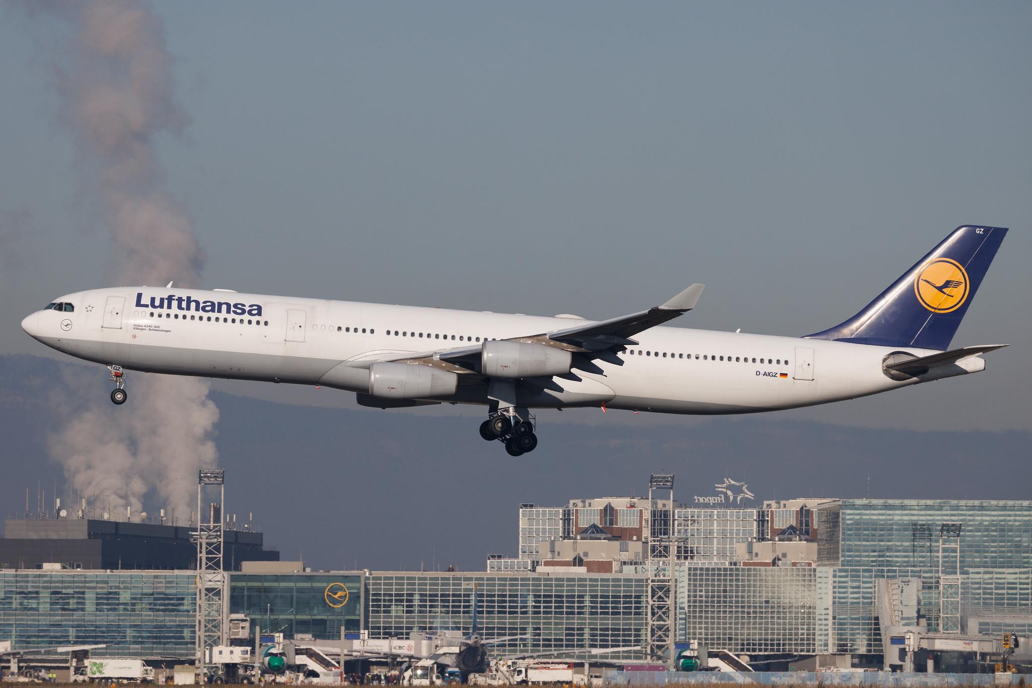 Frankfurt Airport: Lufthansa (LH / DLH) | Airbus A340-313 A343 | D-AIGZ | MSN 0347