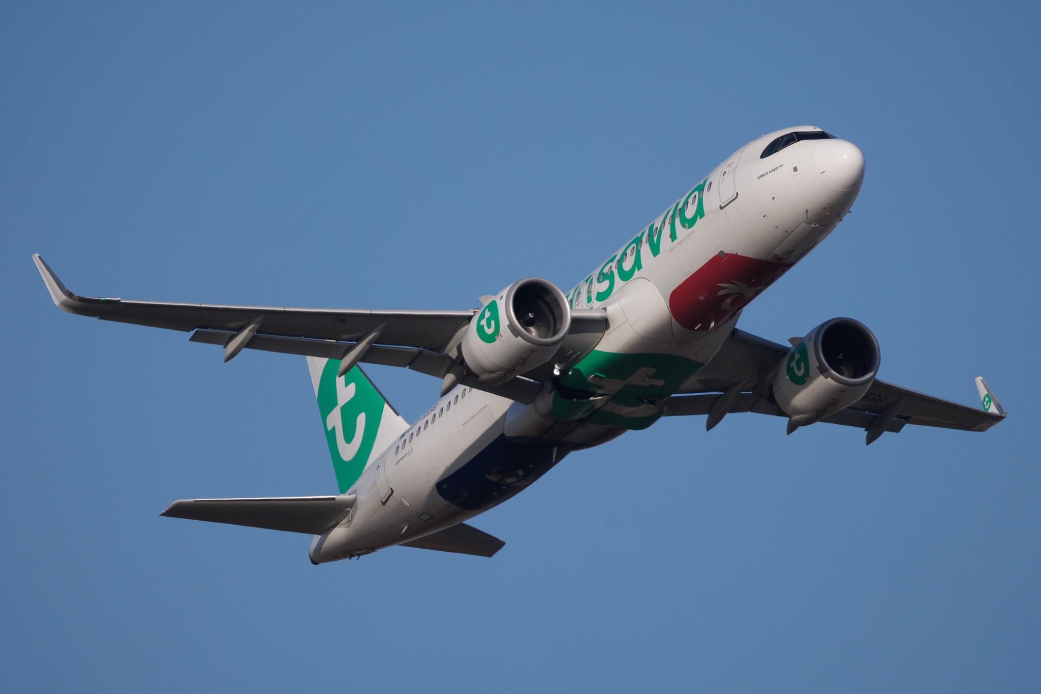 Rome Leonardo da Vinci Fiumicino Airport: Transavia (HV / TRA) | Operator: Transavia France | Airbus A320-252N A20N | F-HXSG | MSN 12256