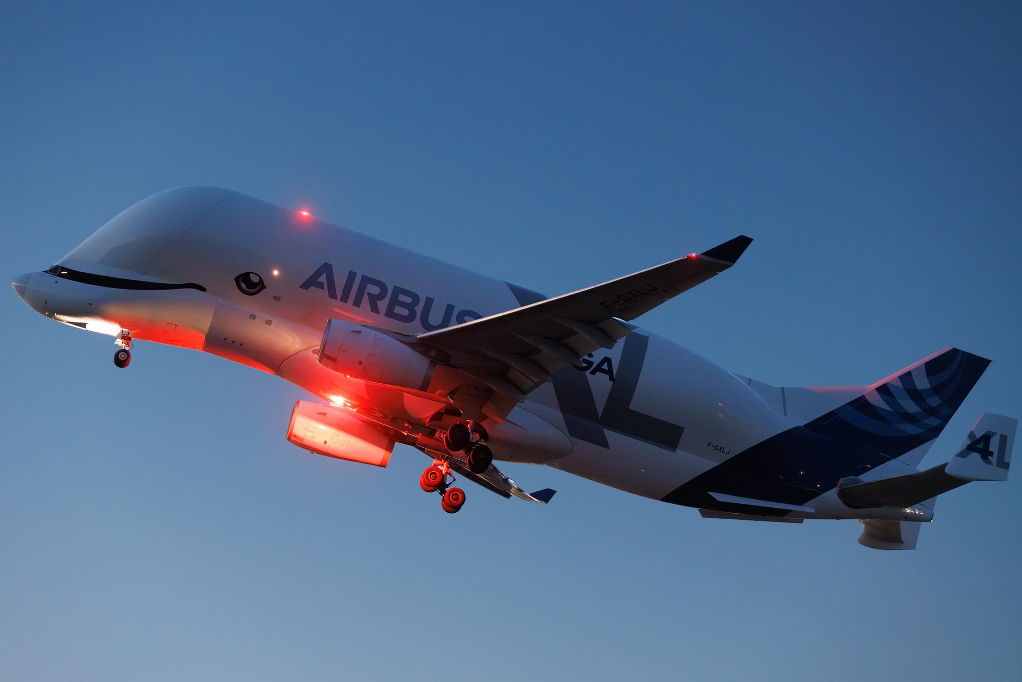 Hamburg Finkenwerder: Airbus Transport International (4Y / BGA) | Airbus A330-743L Beluga XL A337 | F-GXLJ | MSN 1985