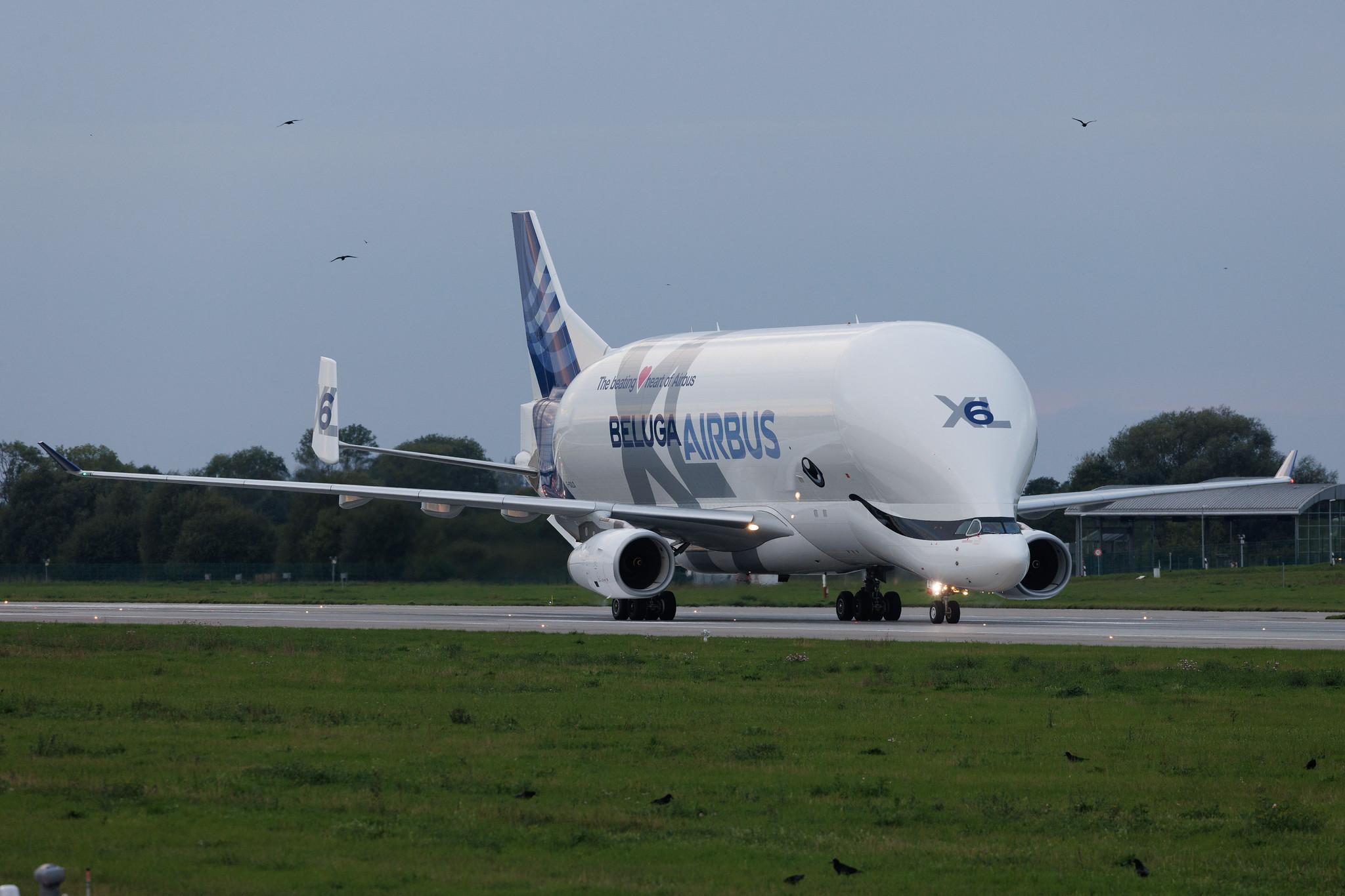 Hamburg Finkenwerder: Airbus Transport International (4Y / BGA) | Airbus A330-743L Beluga XL A337 | F-GXLO | MSN 2041
